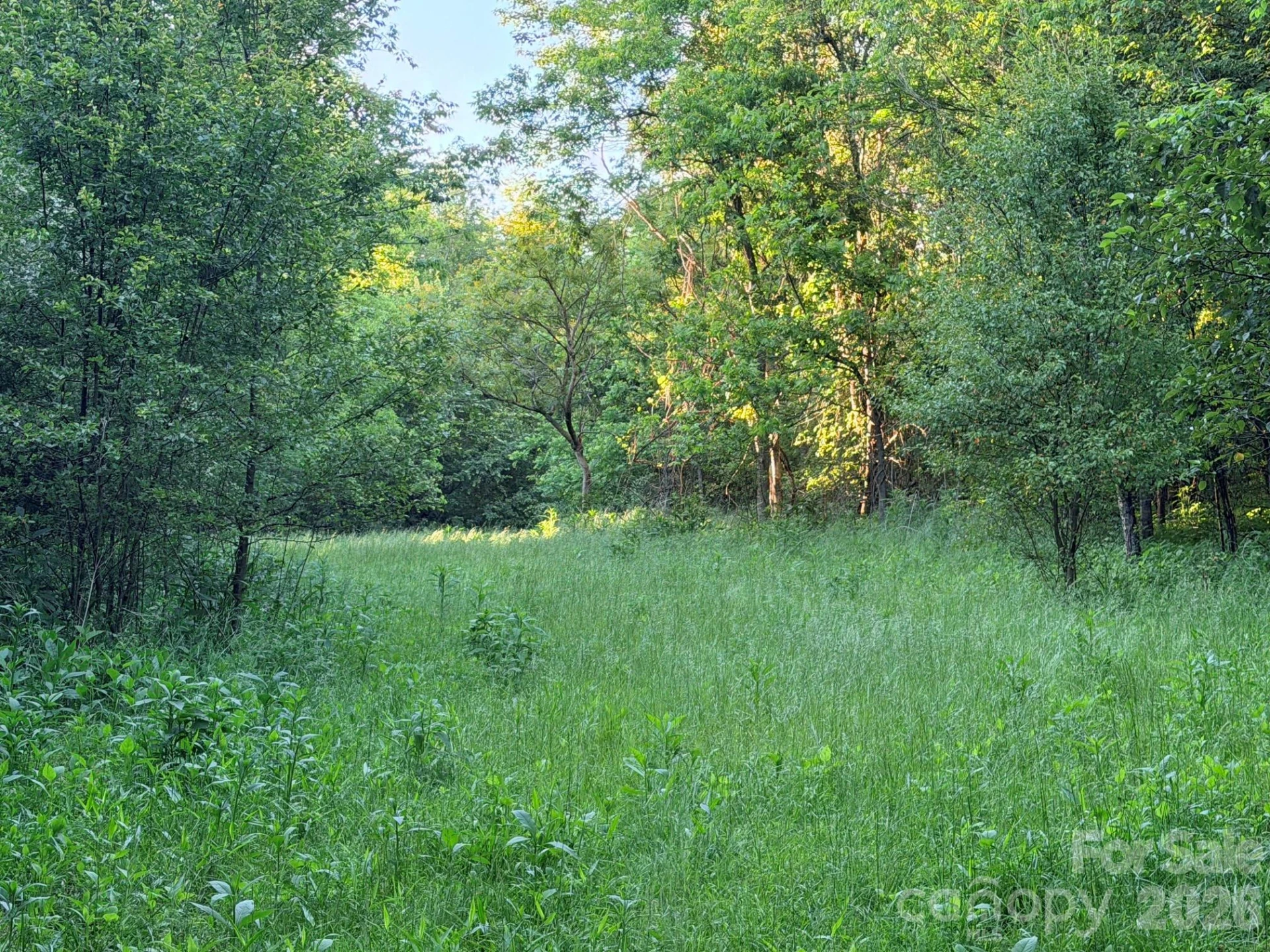 0 Morningstar Lake Road - Photo 15