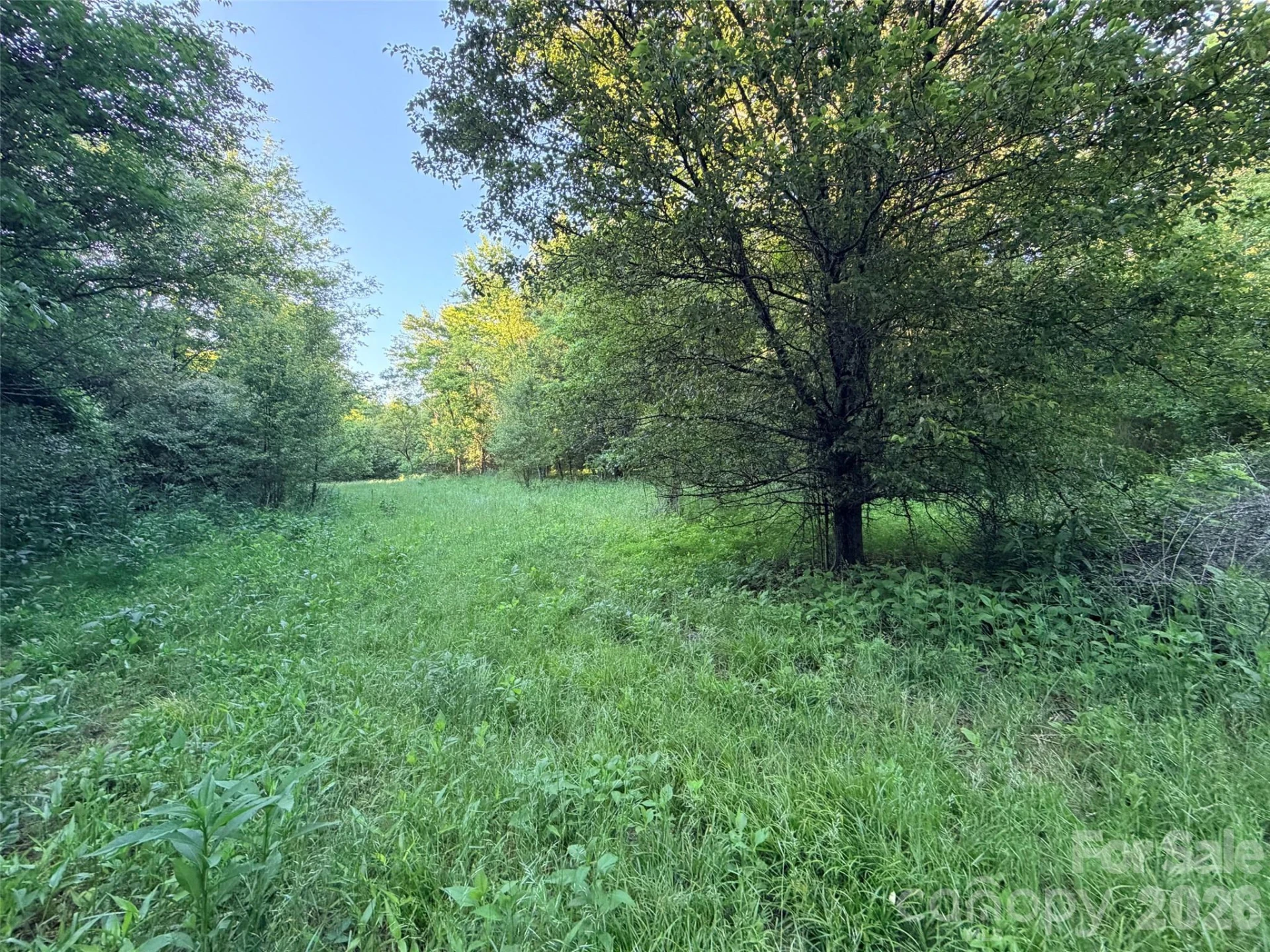 0 Morningstar Lake Road - Photo 16