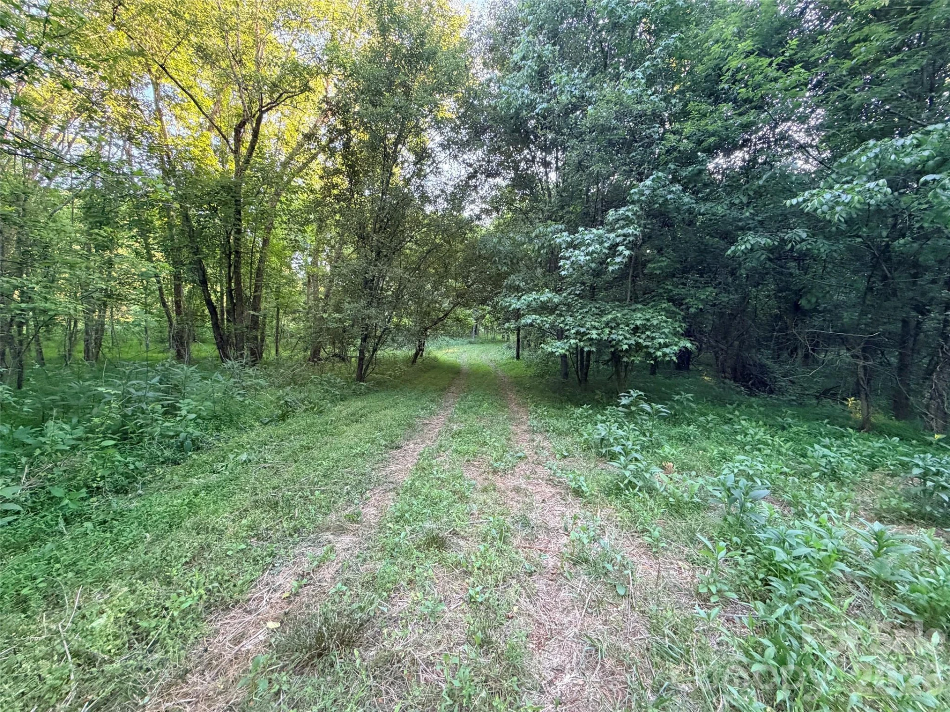0 Morningstar Lake Road - Photo 17