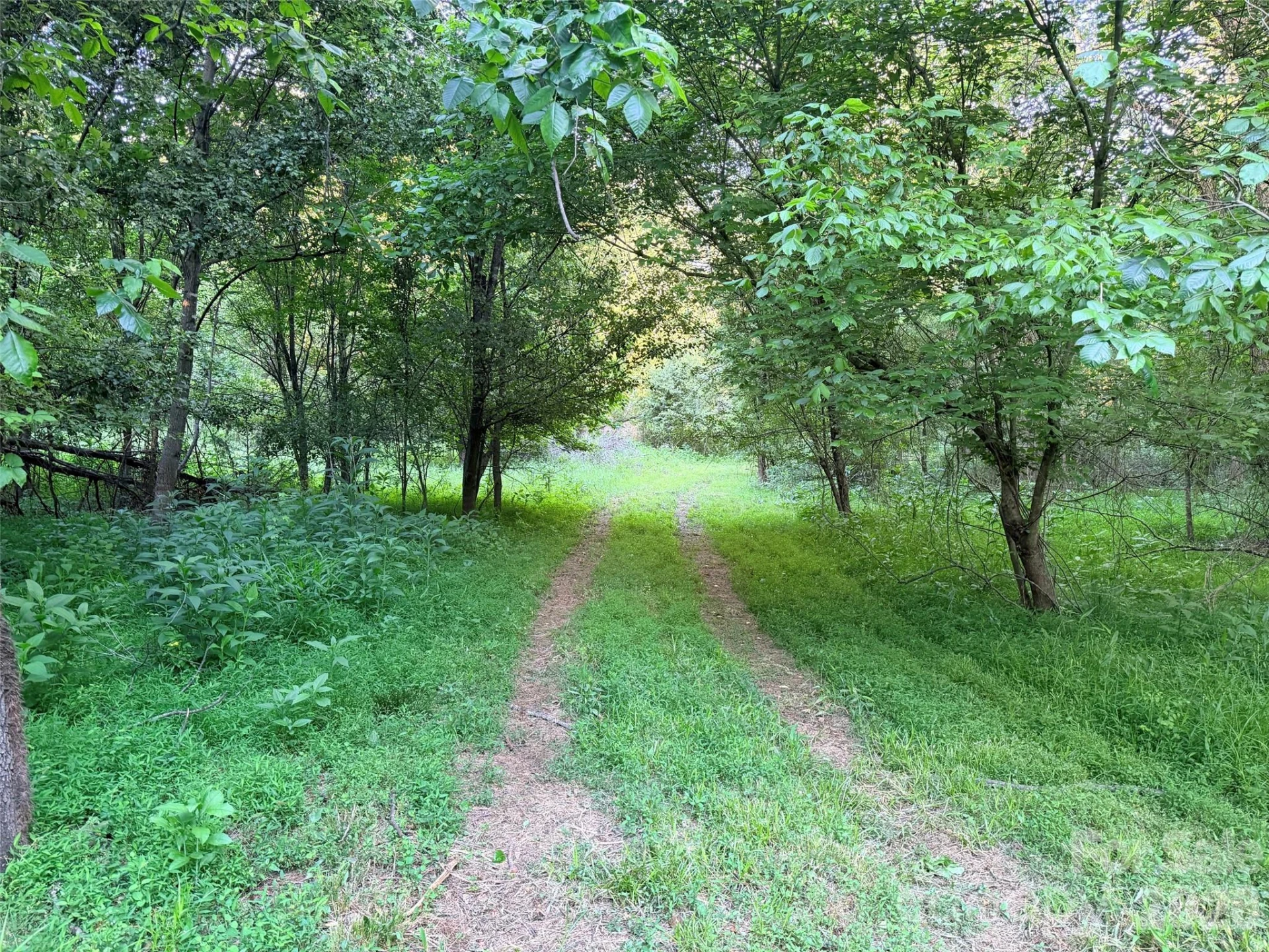 0 Morningstar Lake Road - Photo 19