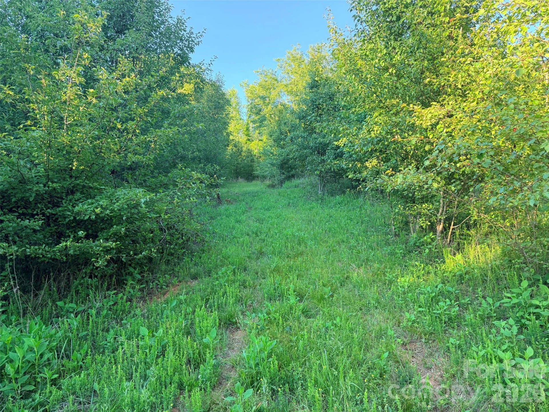 0 Morningstar Lake Road - Photo 20
