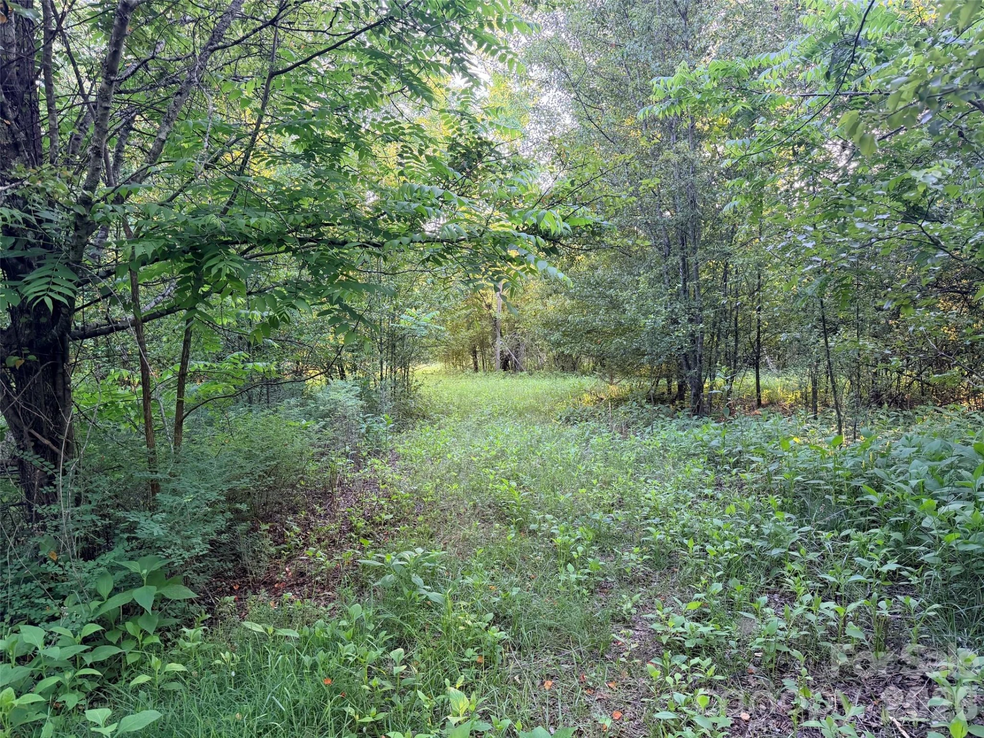 0 Morningstar Lake Road - Photo 21