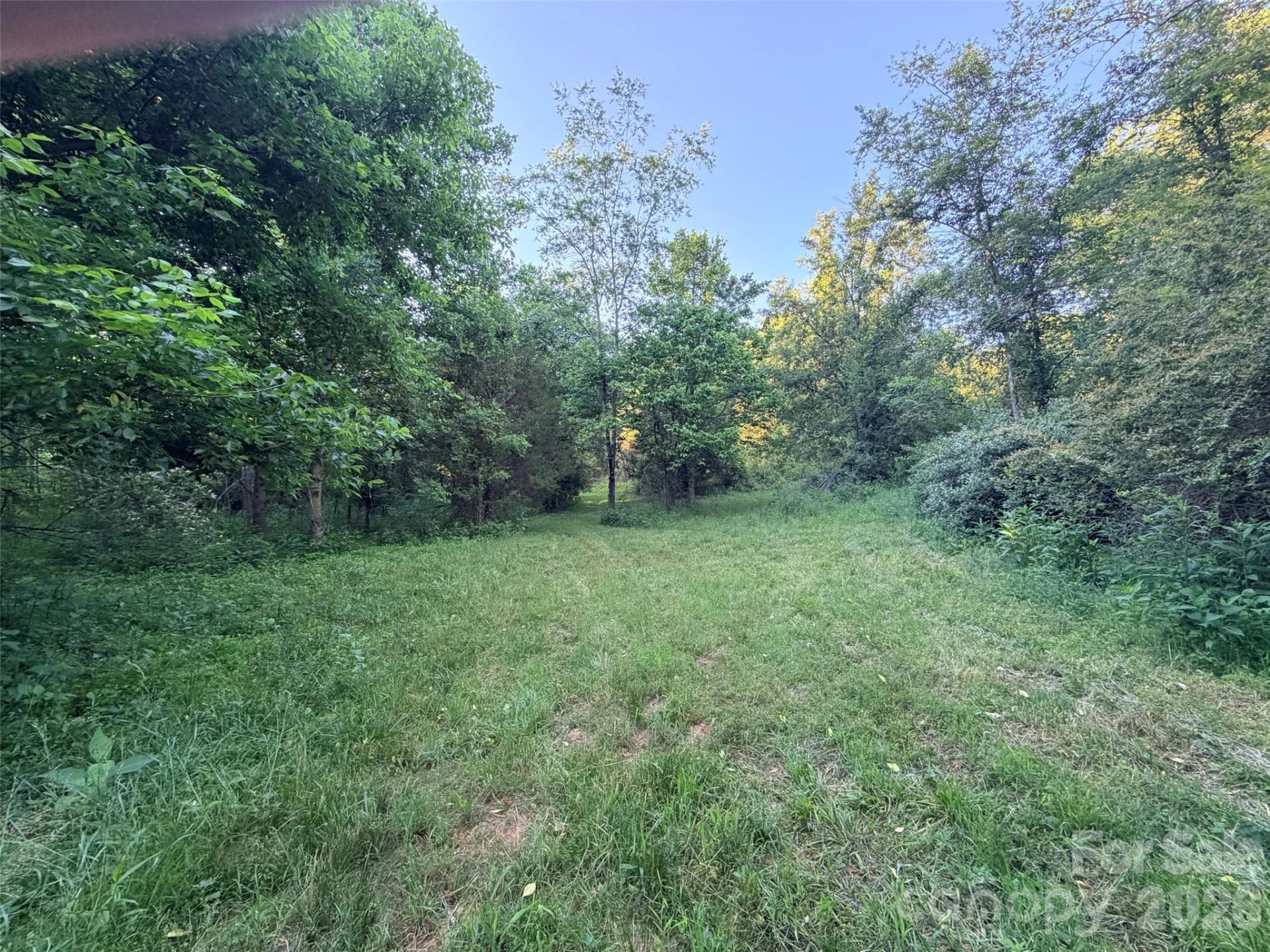 0 Morningstar Lake Road - Photo 7
