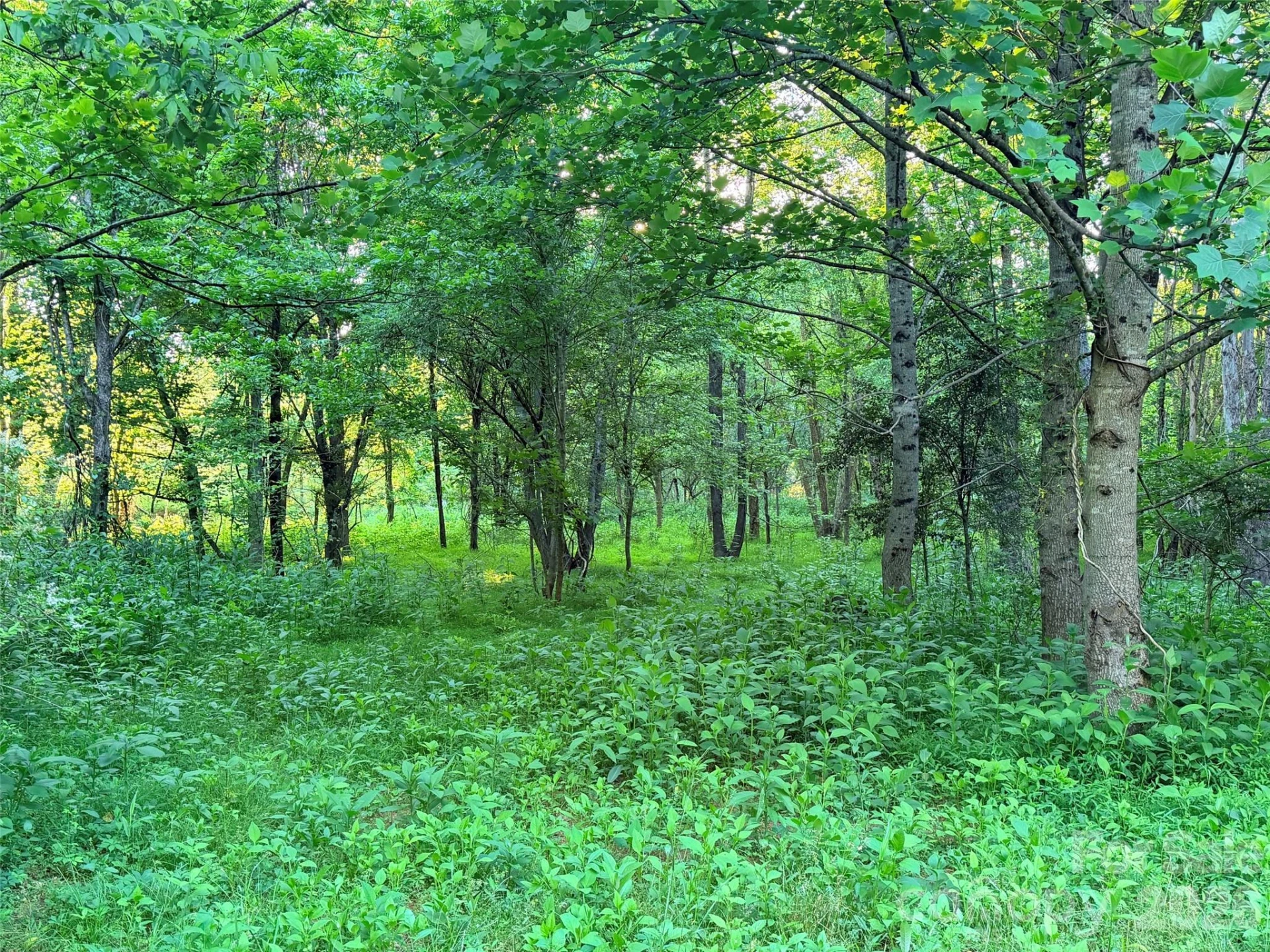 0 Morningstar Lake Road - Photo 8