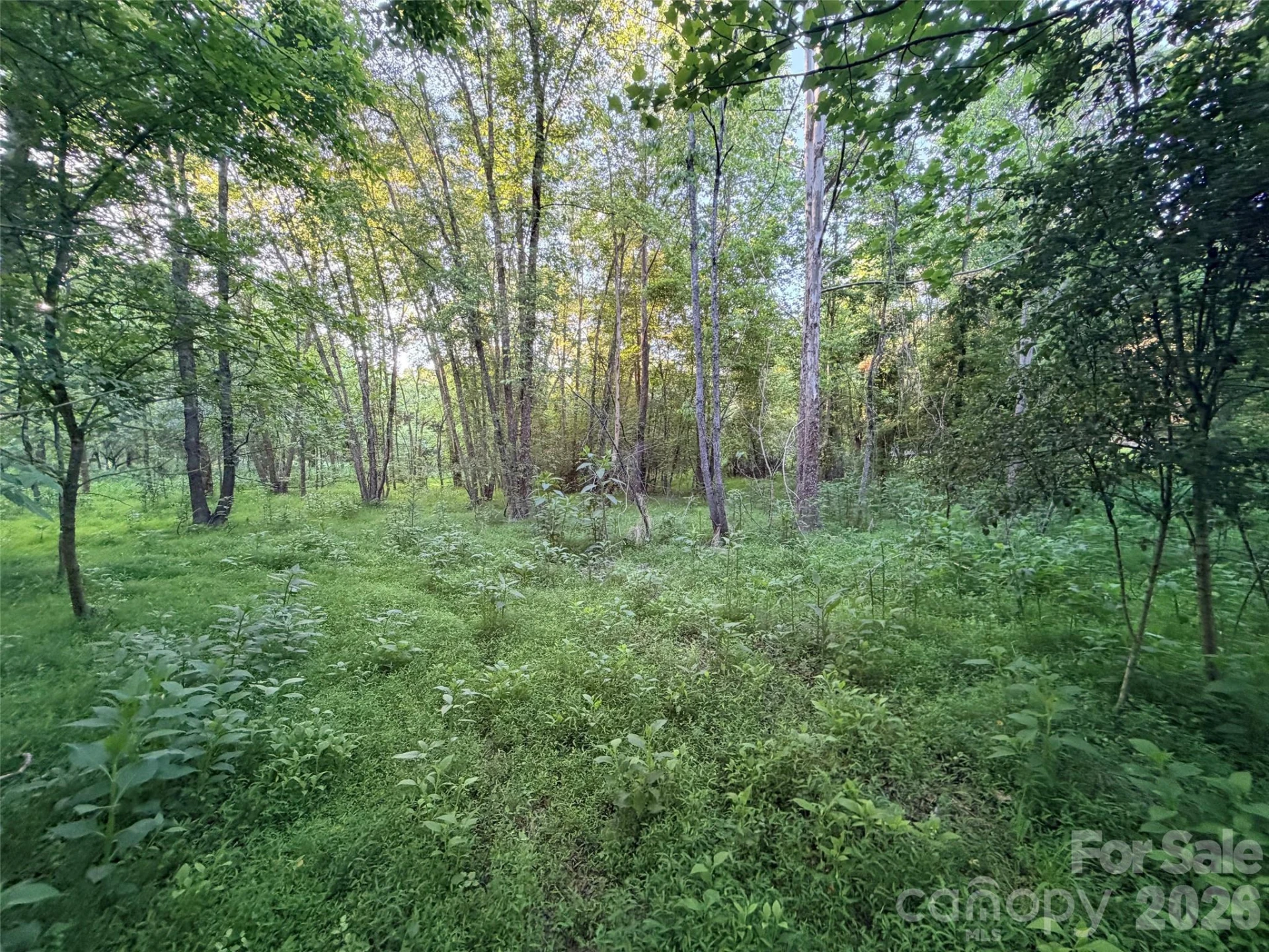 0 Morningstar Lake Road - Photo 10