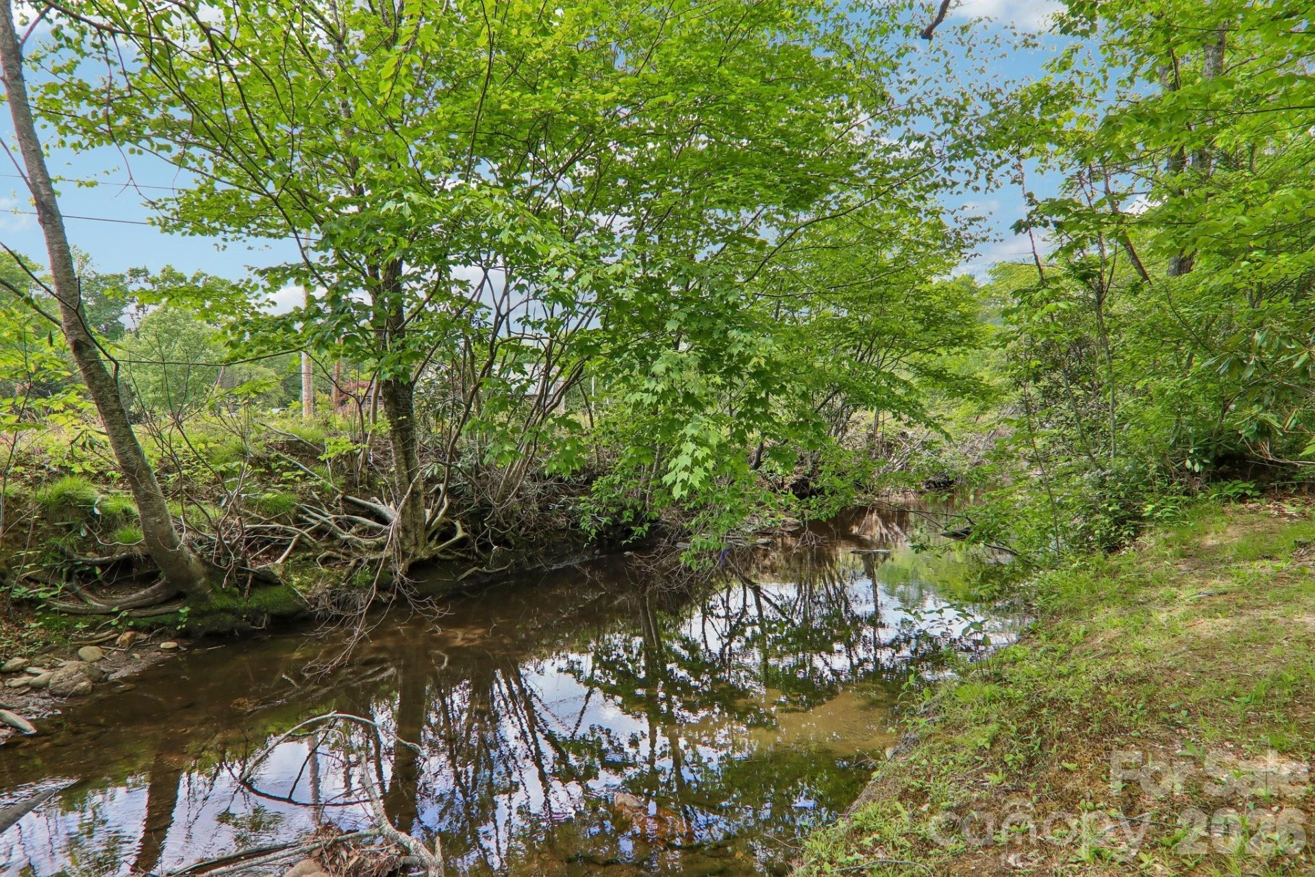 2627 White Oak Road - Photo 38