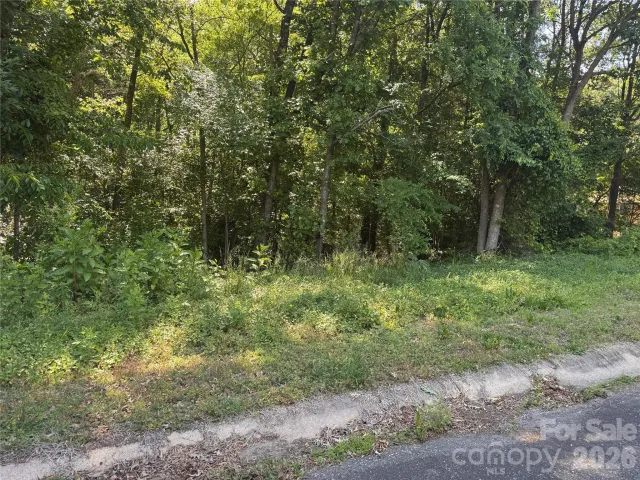 0 Tanglewood Drive
