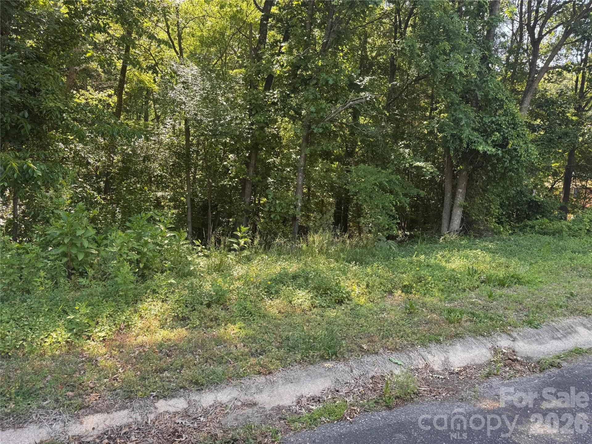 0 Tanglewood Drive