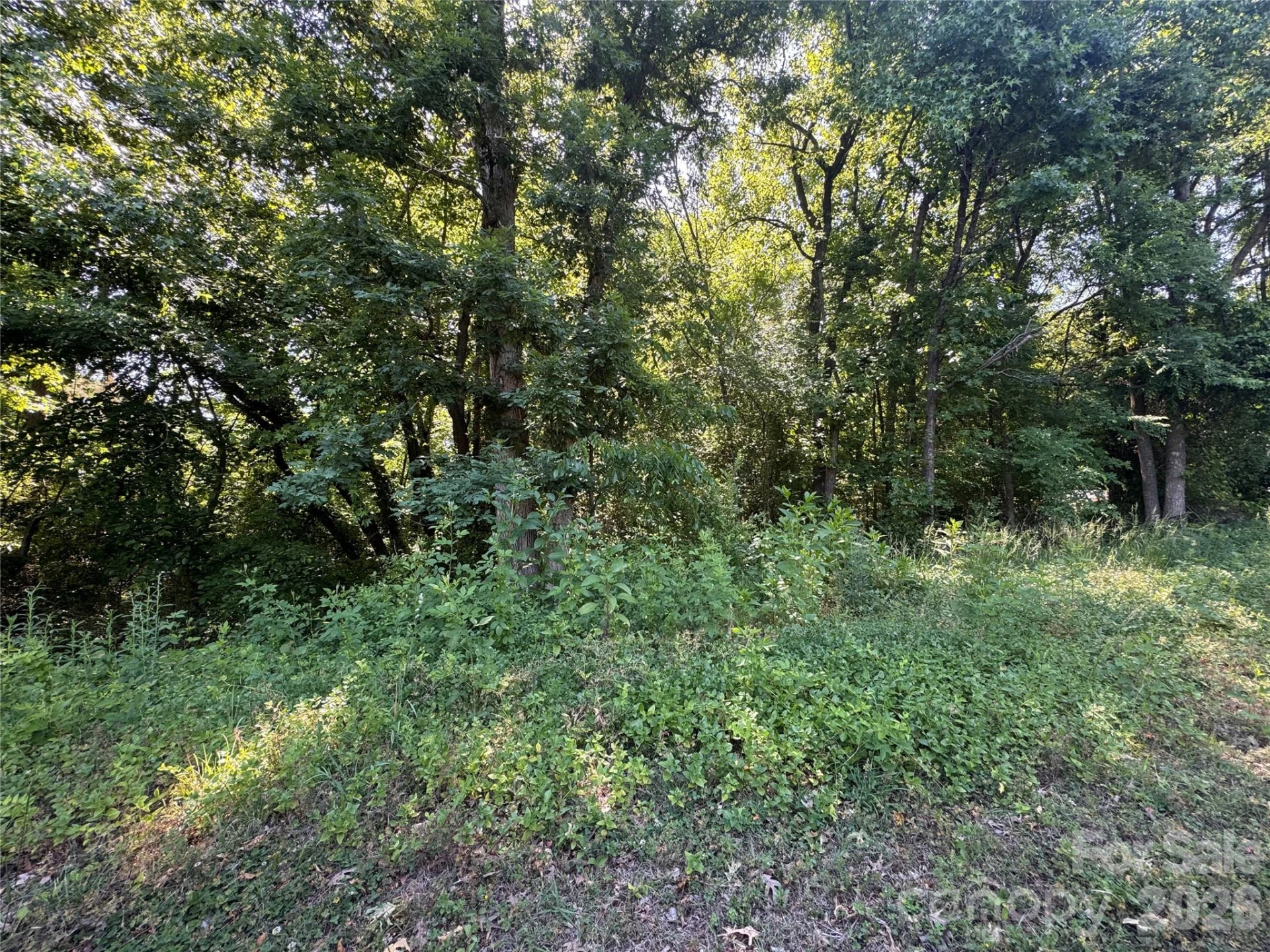 0 Tanglewood Drive - Photo 2