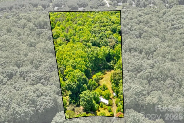 2239 Capps Road
