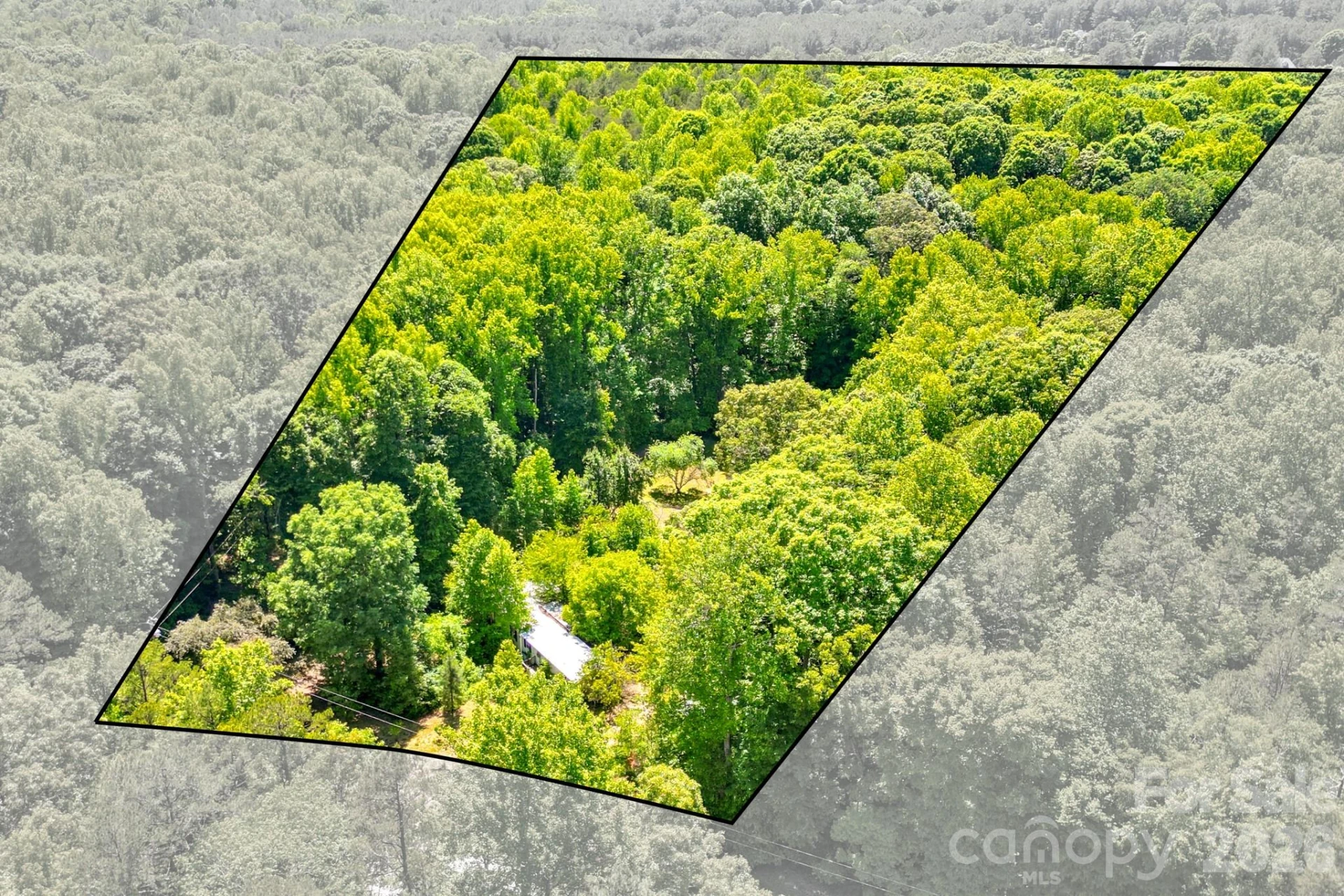 2239 Capps Road - Photo 2
