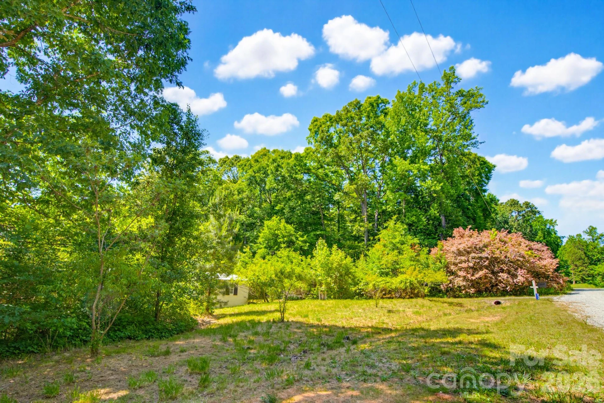 2239 Capps Road - Photo 11