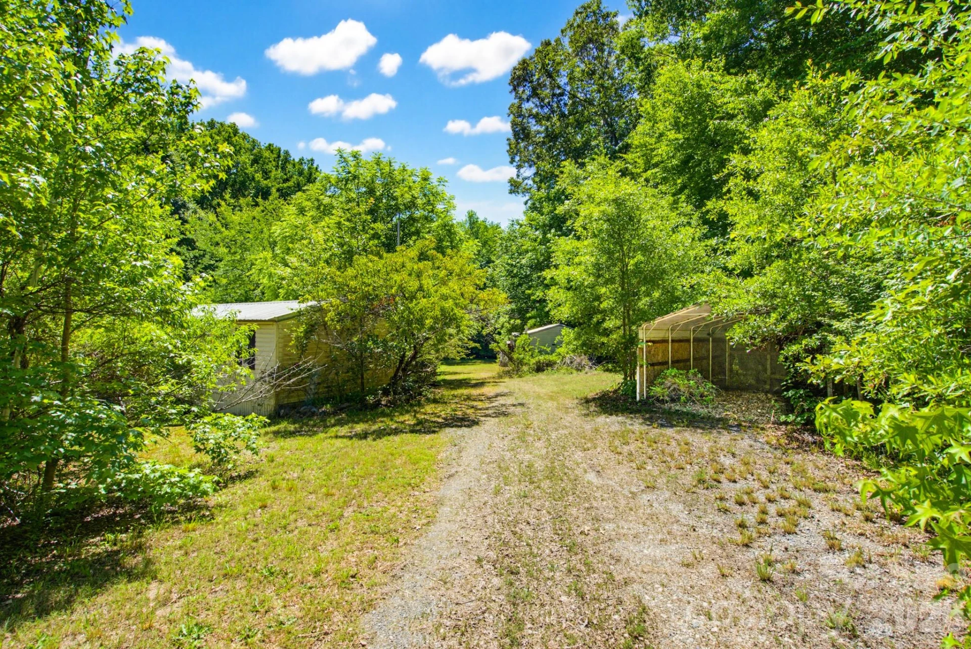 2239 Capps Road - Photo 12