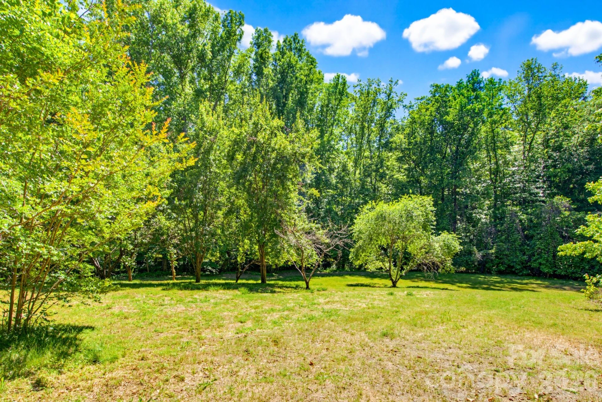 2239 Capps Road - Photo 13