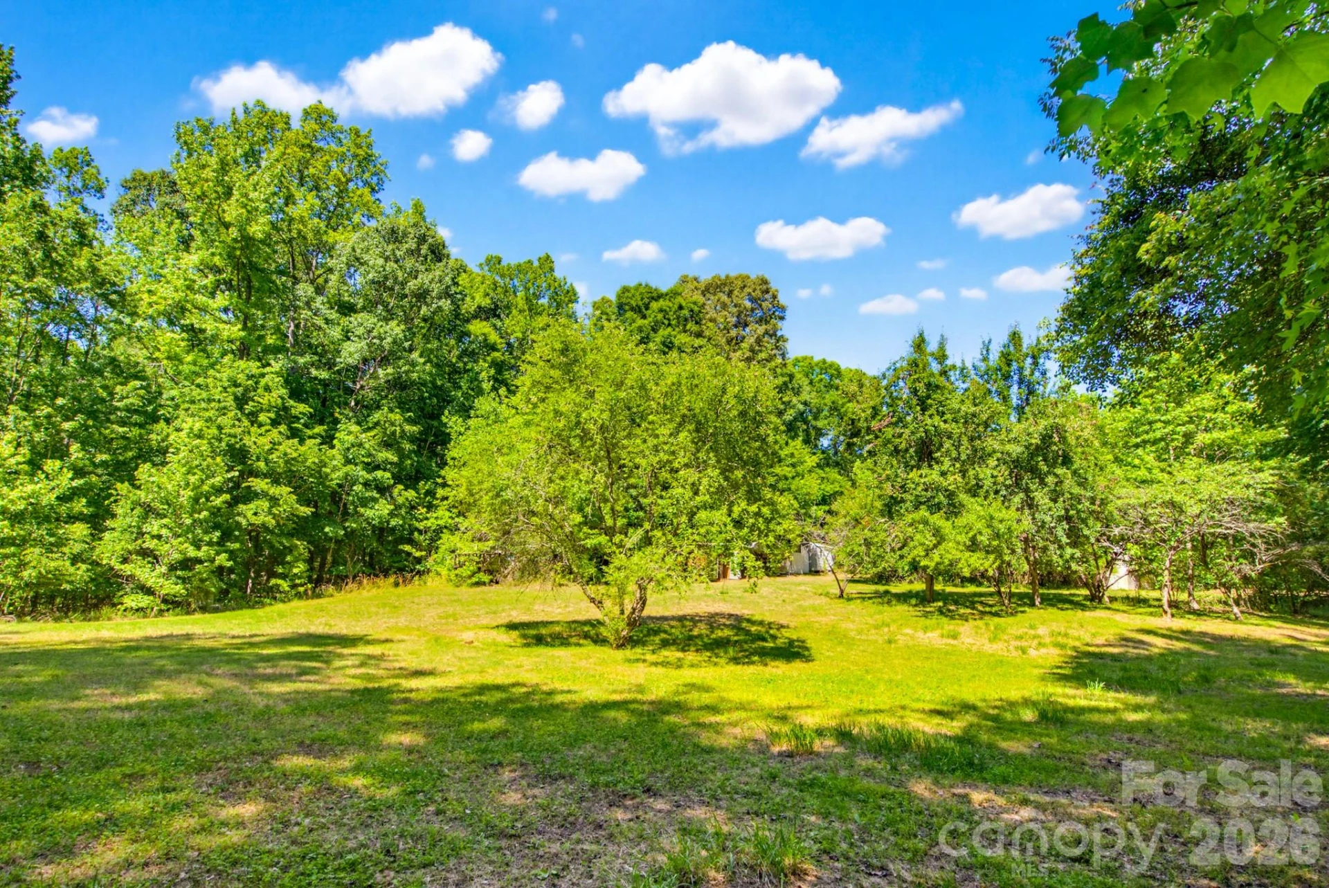 2239 Capps Road - Photo 14