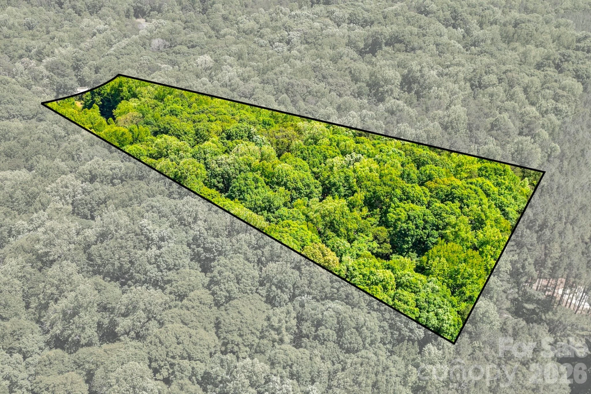 2239 Capps Road - Photo 3
