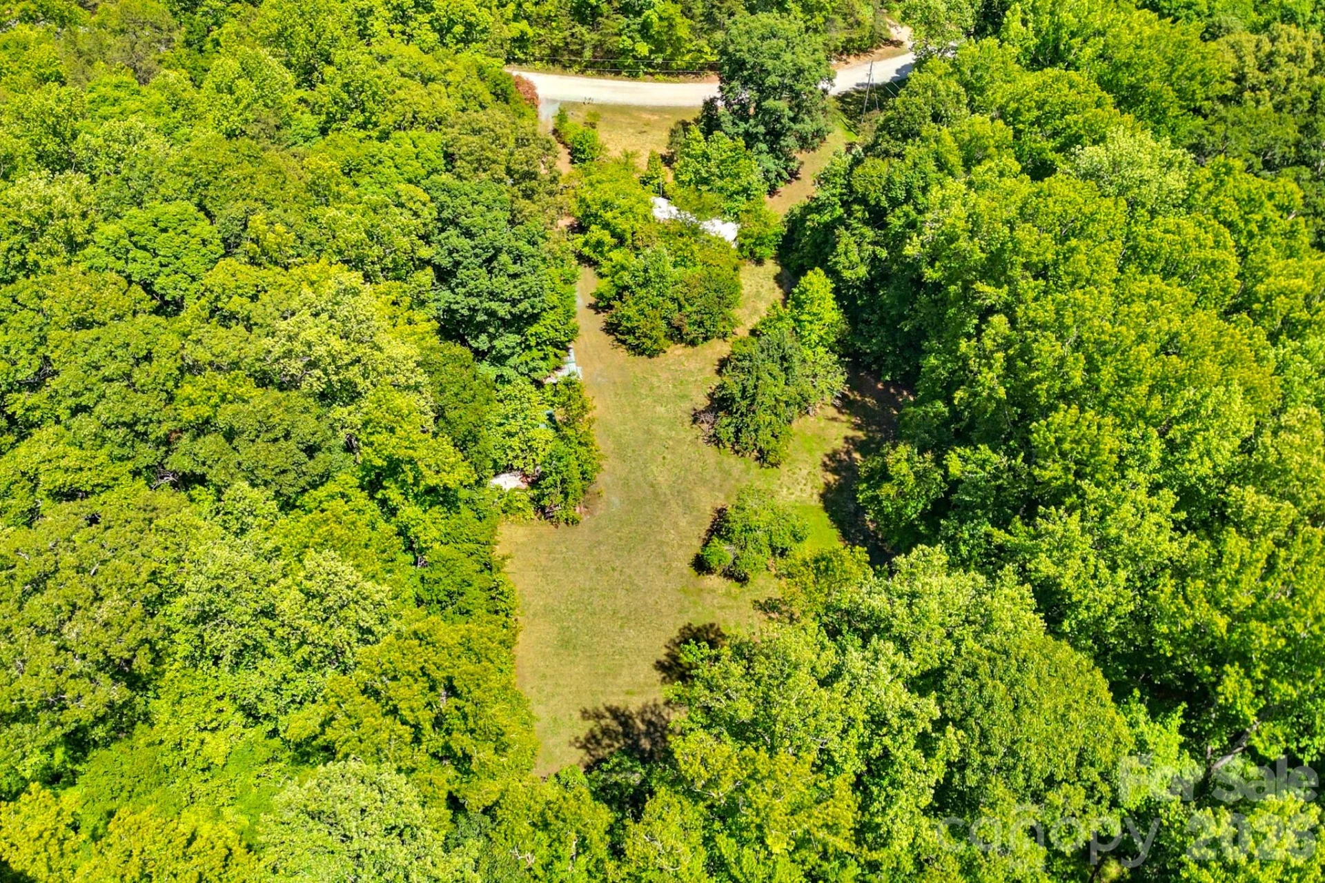 2239 Capps Road - Photo 4