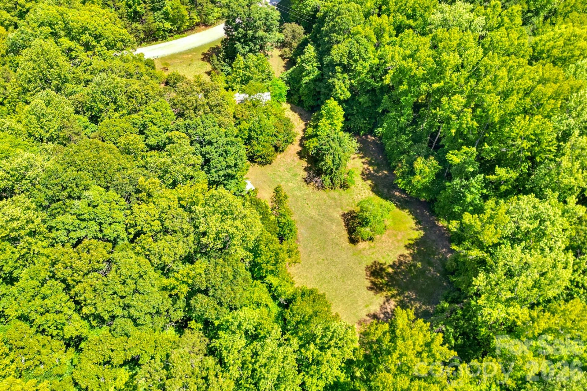 2239 Capps Road - Photo 6