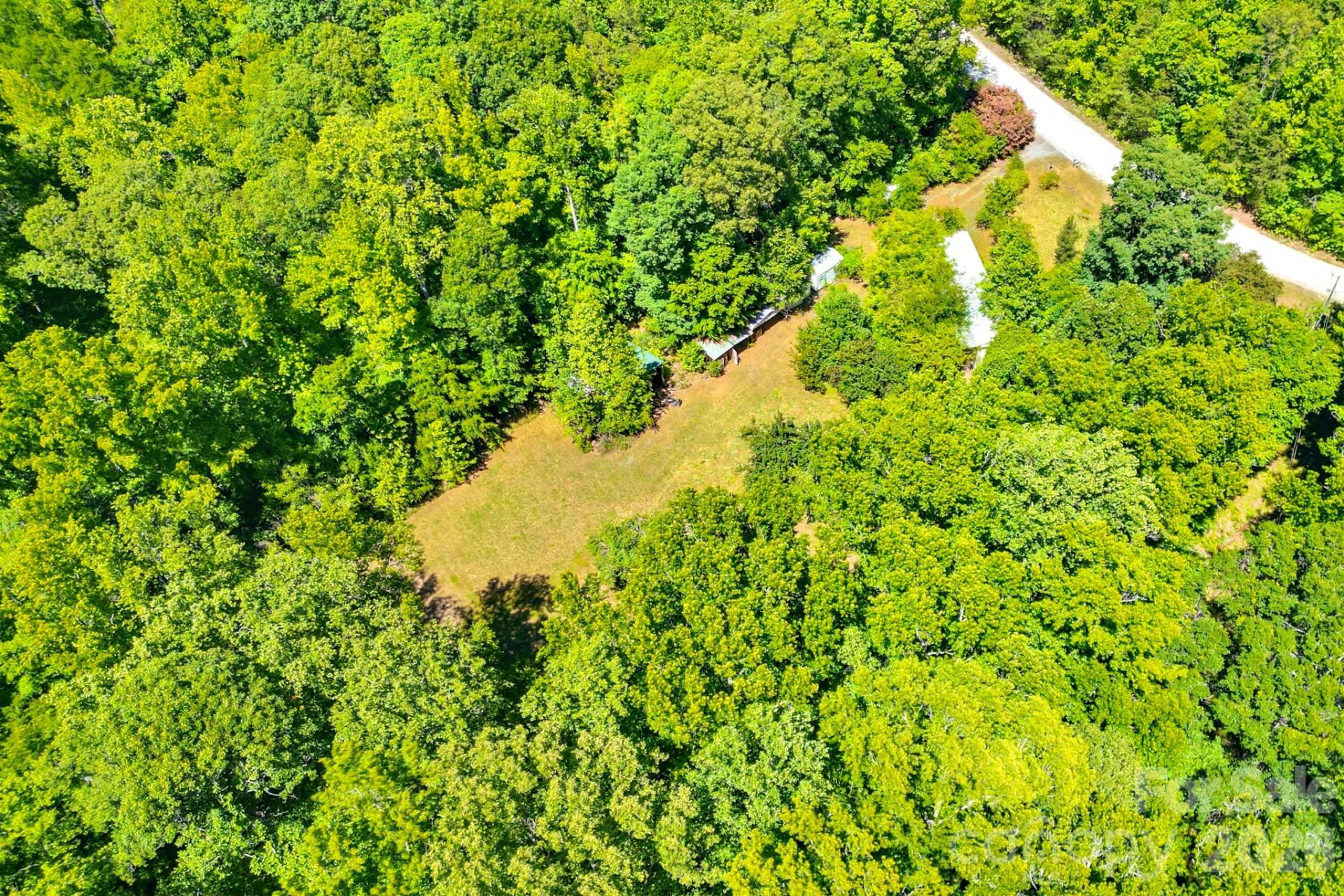 2239 Capps Road - Photo 7