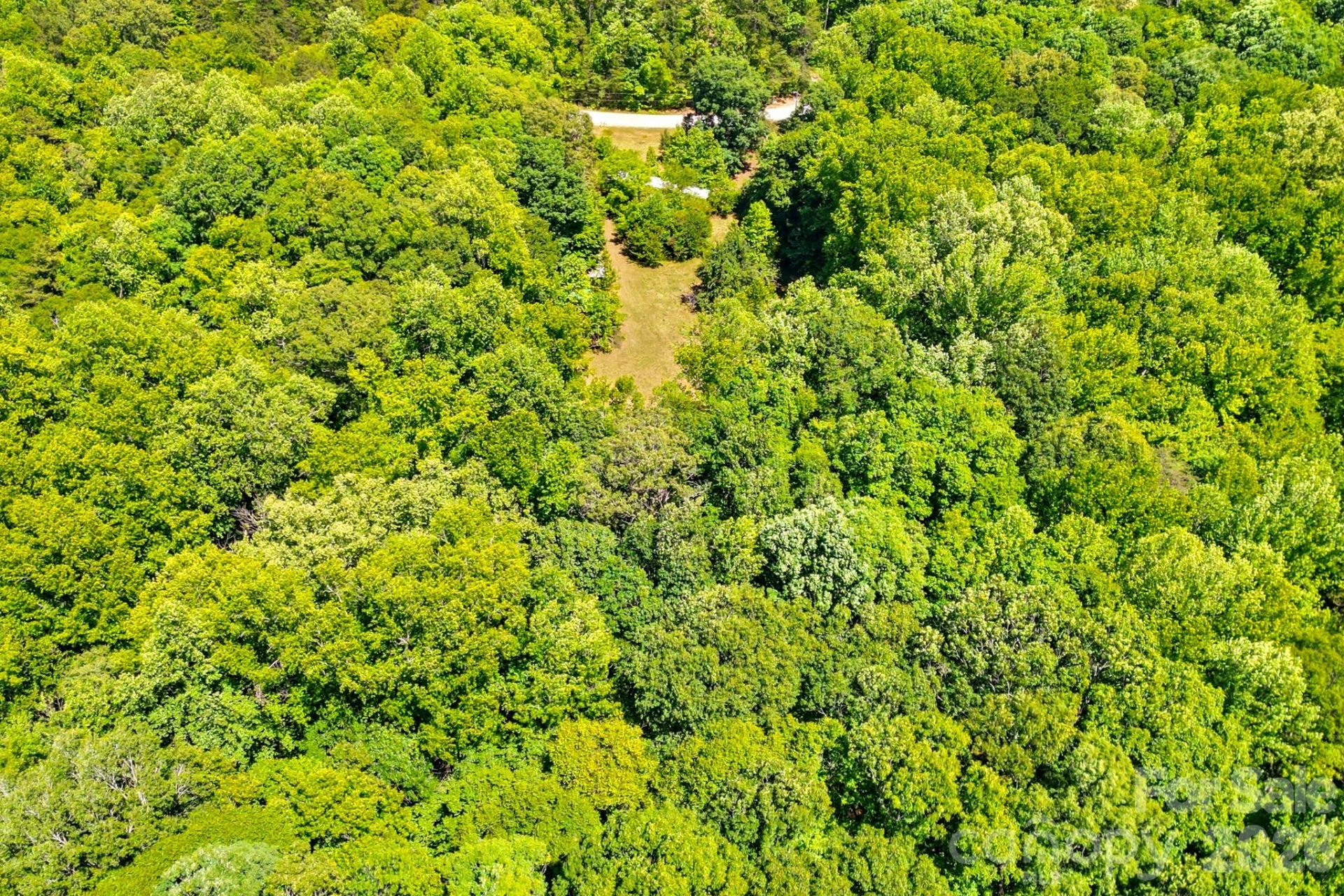 2239 Capps Road - Photo 8