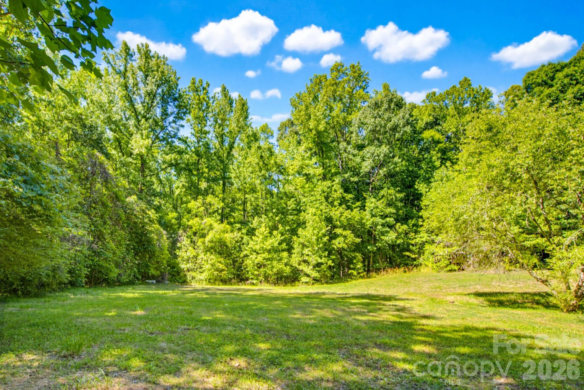 2239 Capps Road - Photo 9