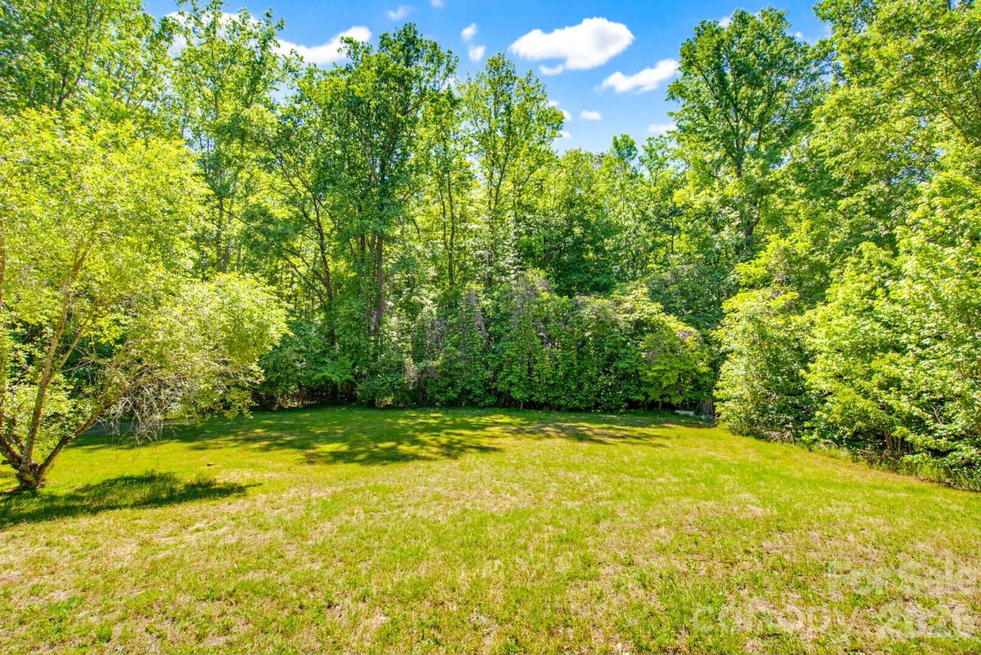 2239 Capps Road - Photo 10