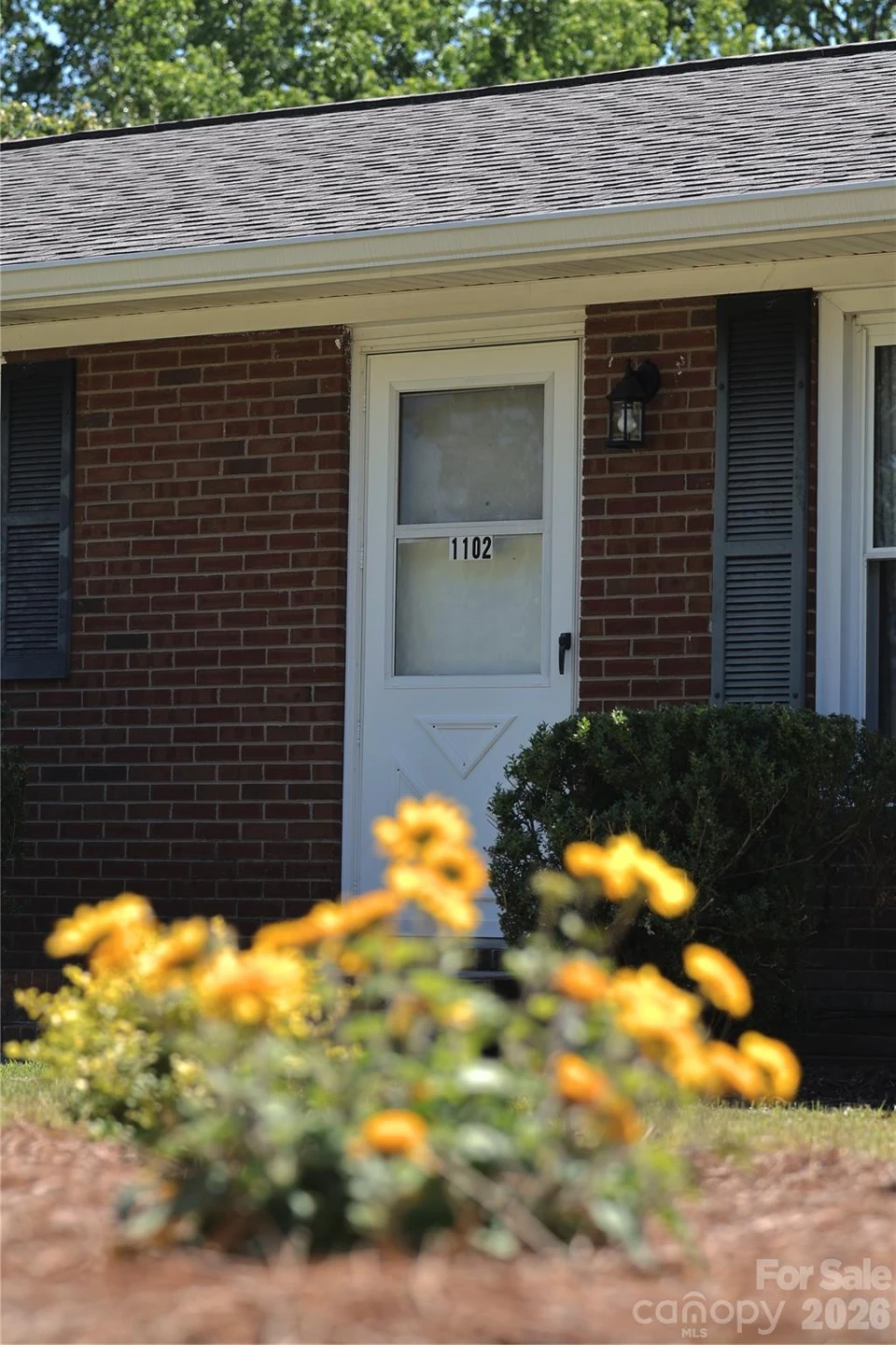 1102 12th Street - Photo 3