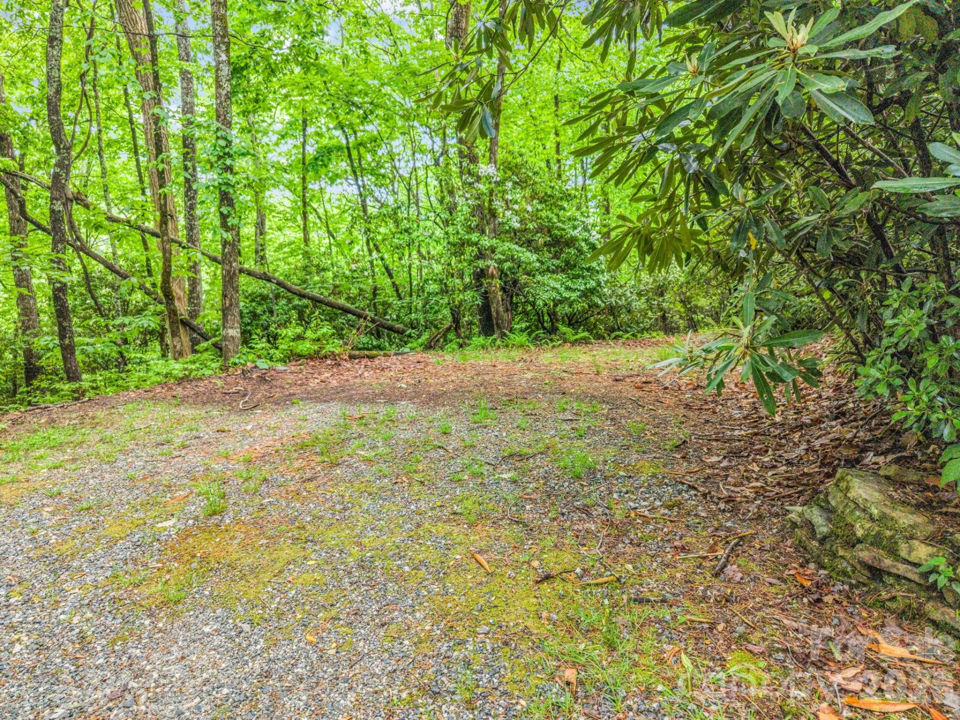 TBD Toxaway Trail #14/3 - Photo 16