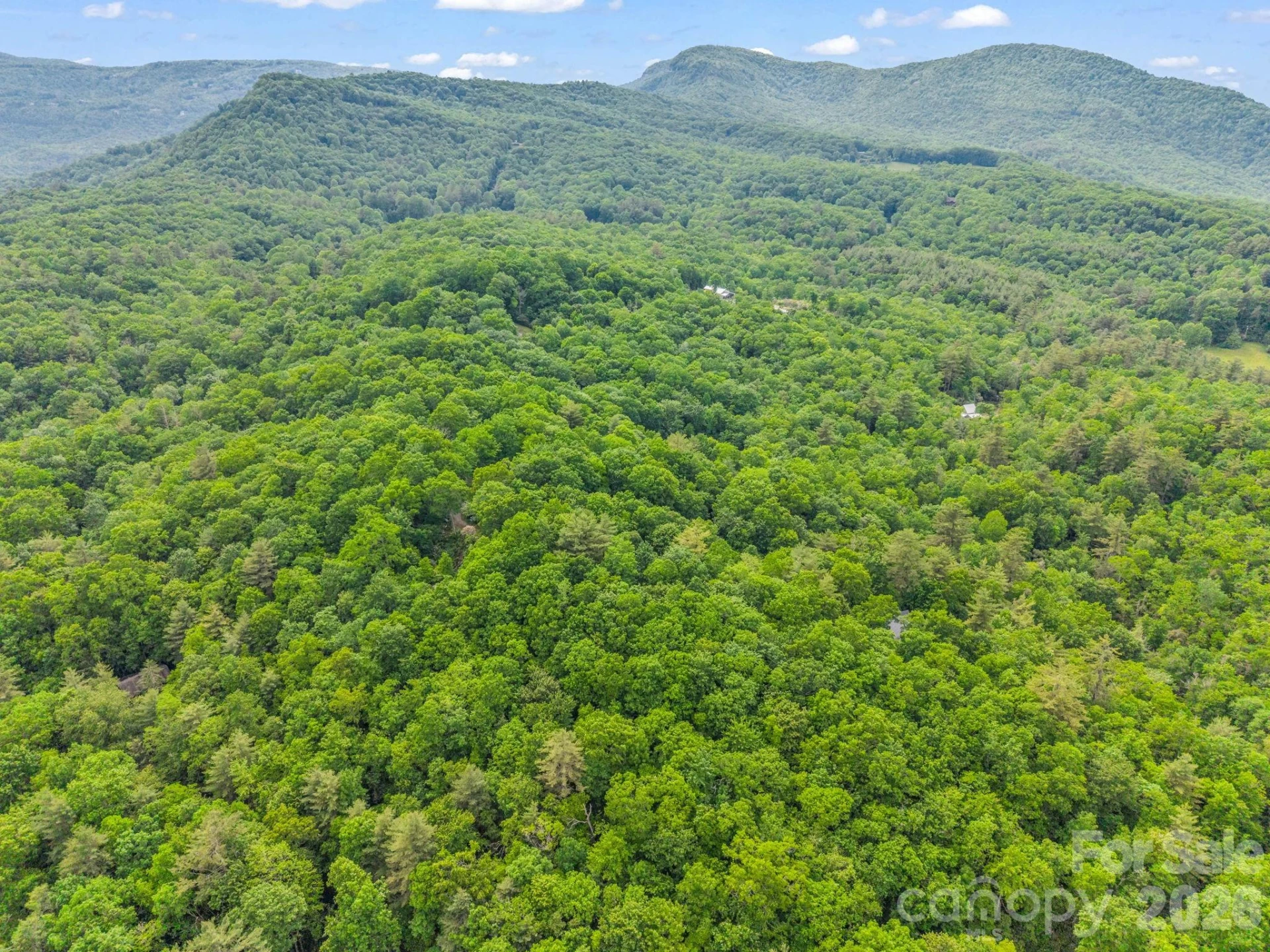 TBD Toxaway Trail #14/3 - Photo 24