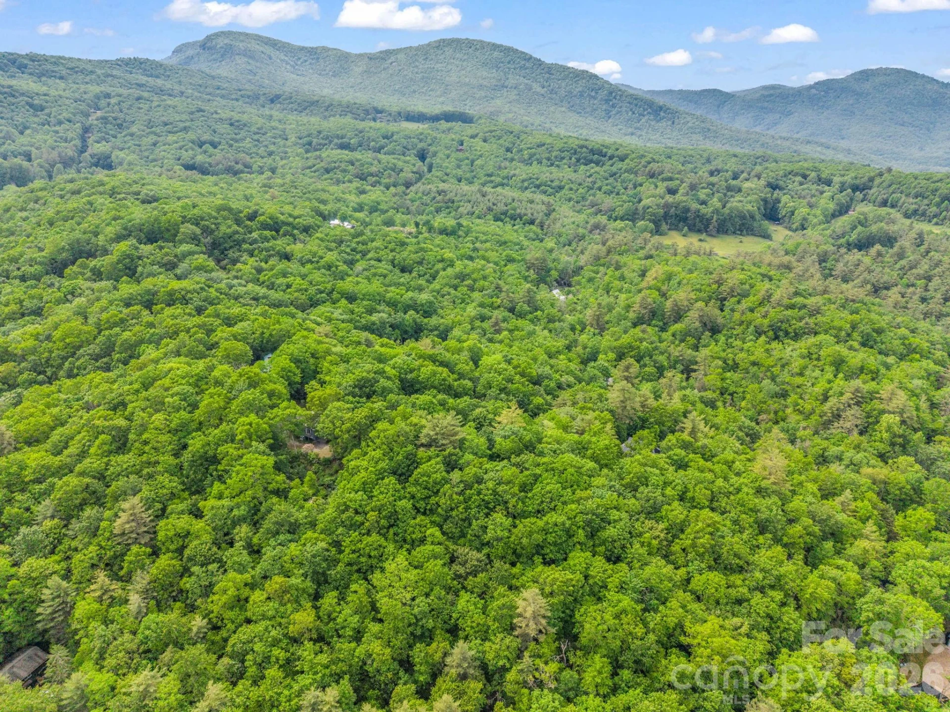 TBD Toxaway Trail #14/3 - Photo 25