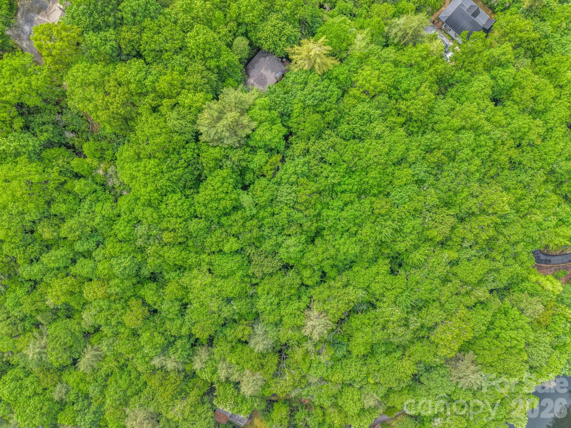 TBD Toxaway Trail #14/3 - Photo 26