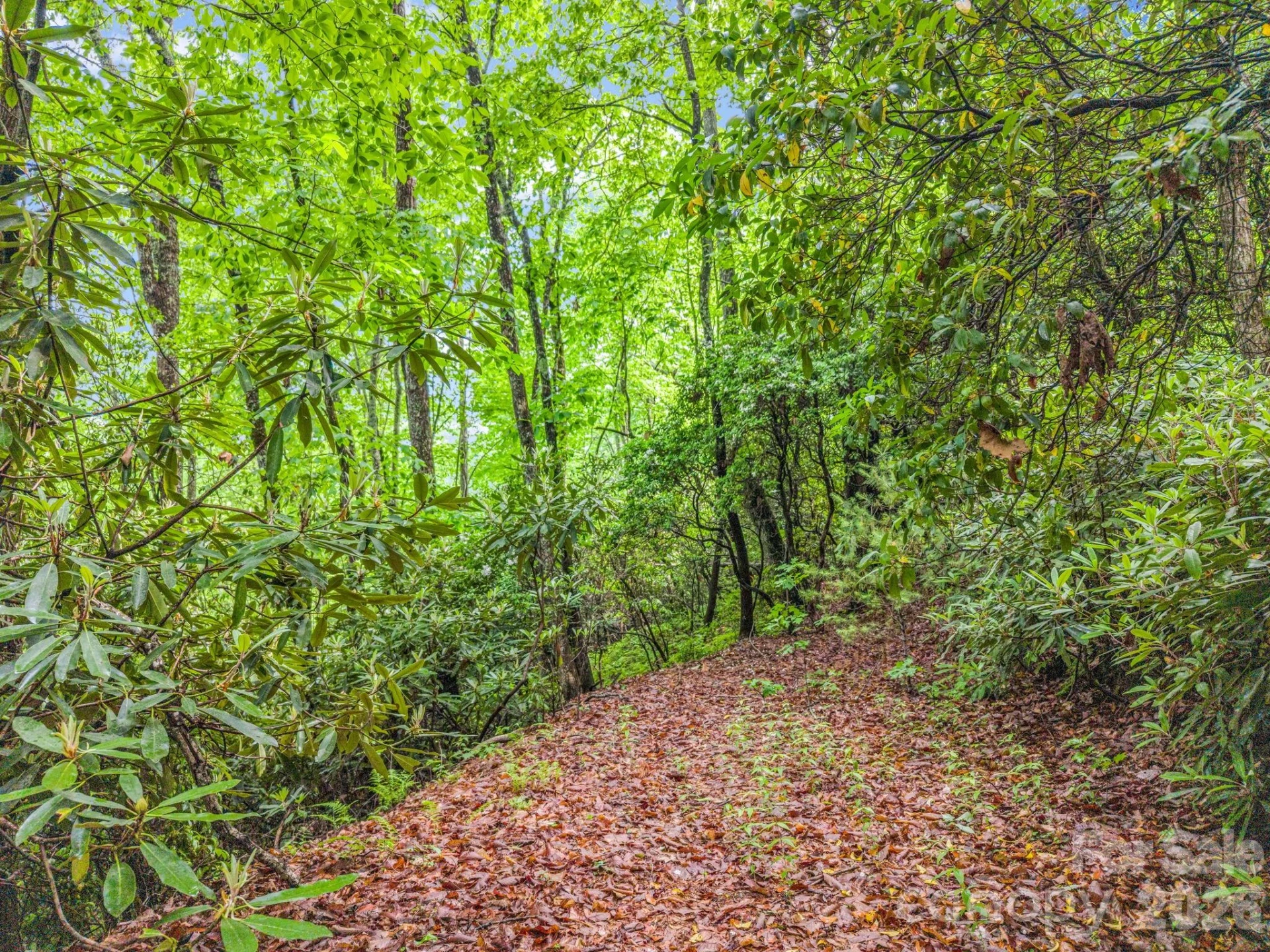 TBD Toxaway Trail #14/3 - Photo 29