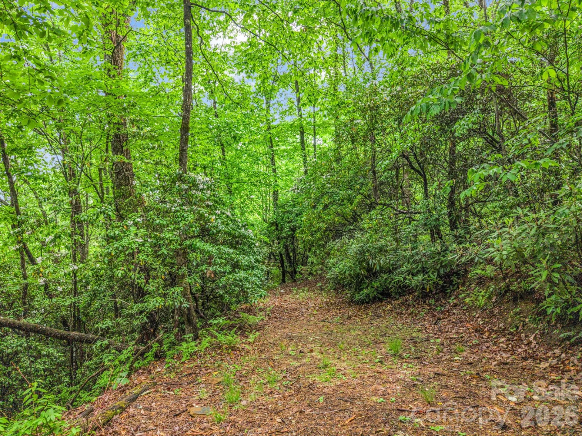 TBD Toxaway Trail #14/3 - Photo 30