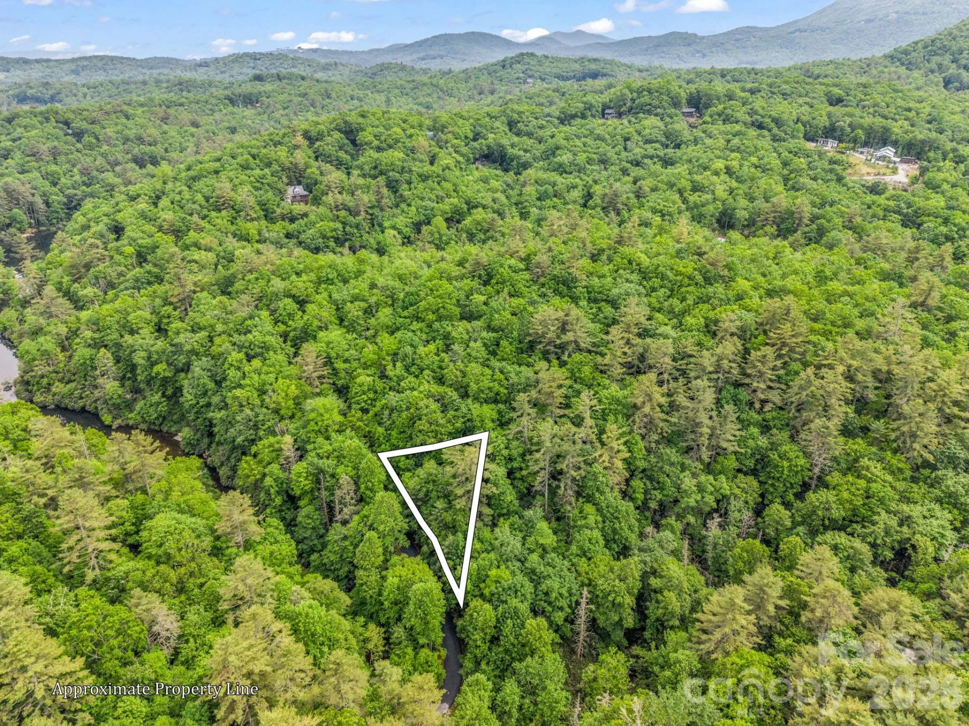 TBD Toxaway Trail #14/3 - Photo 4