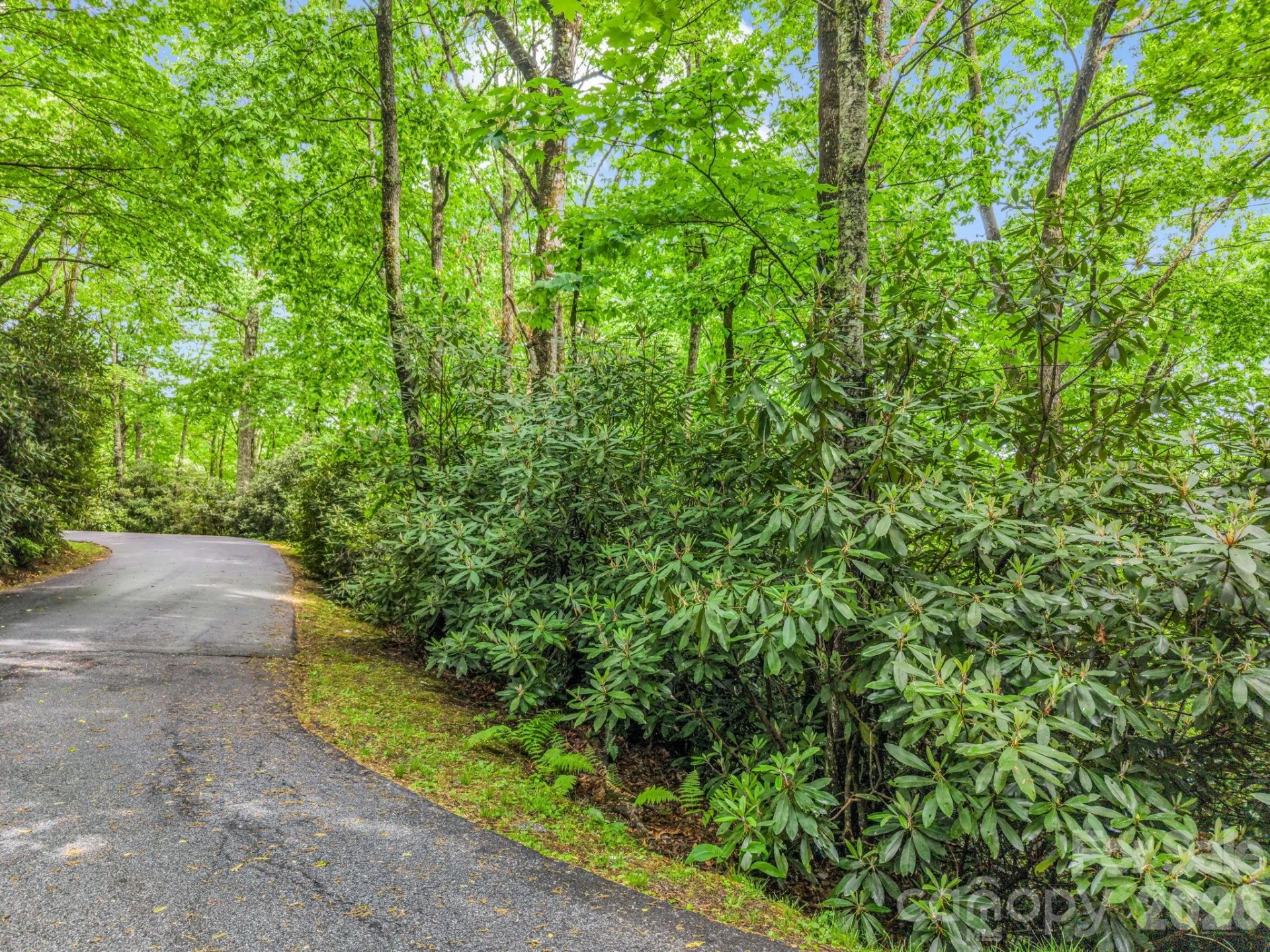 TBD Toxaway Trail #14/3 - Photo 31