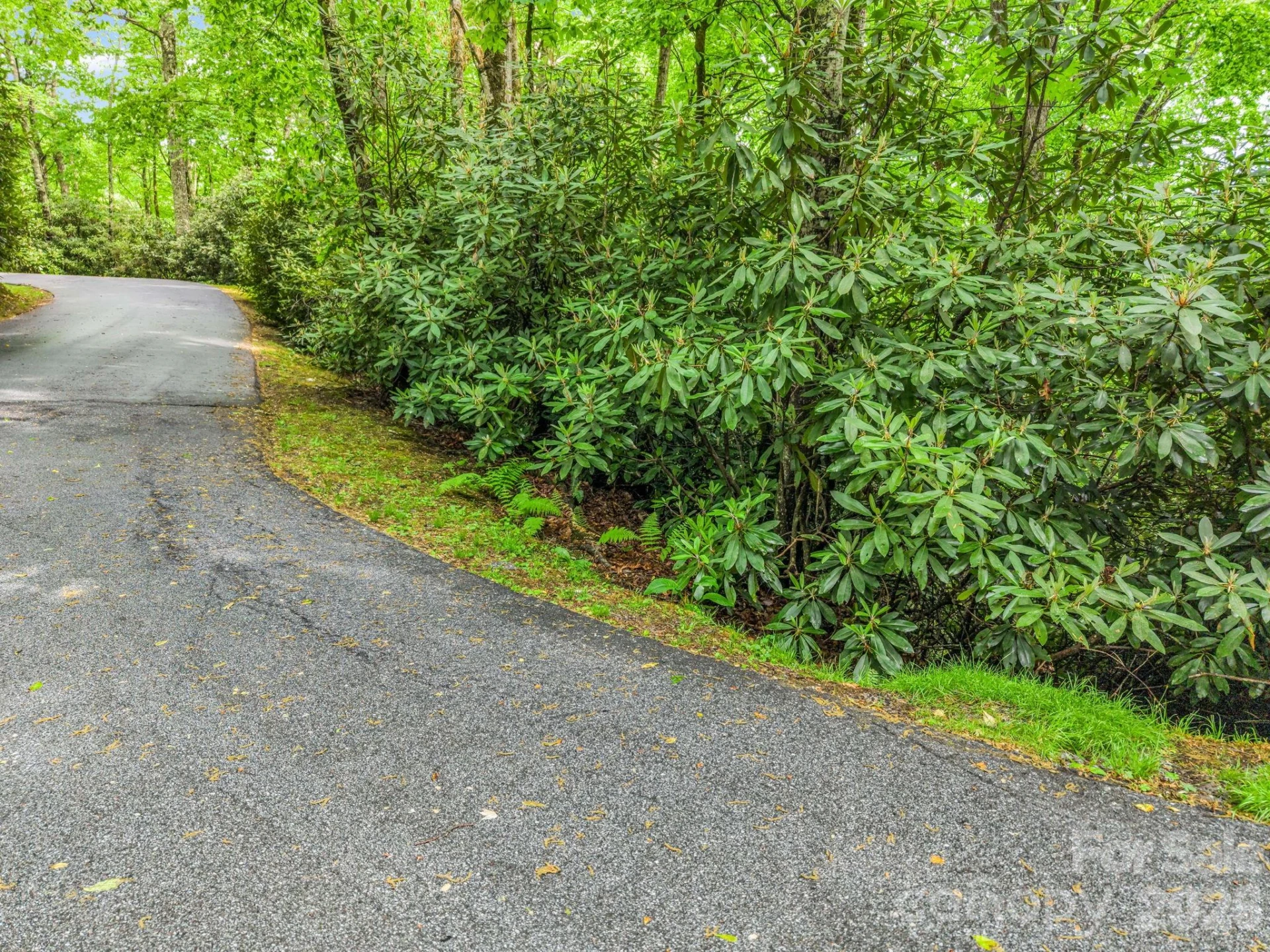 TBD Toxaway Trail #14/3 - Photo 33