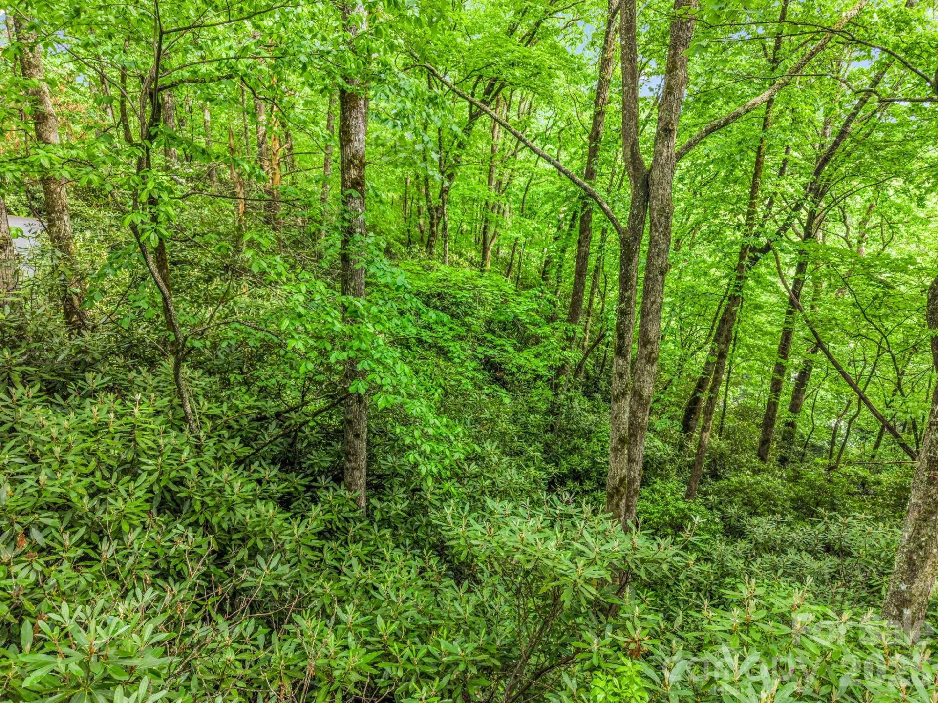 TBD Toxaway Trail #14/3 - Photo 34