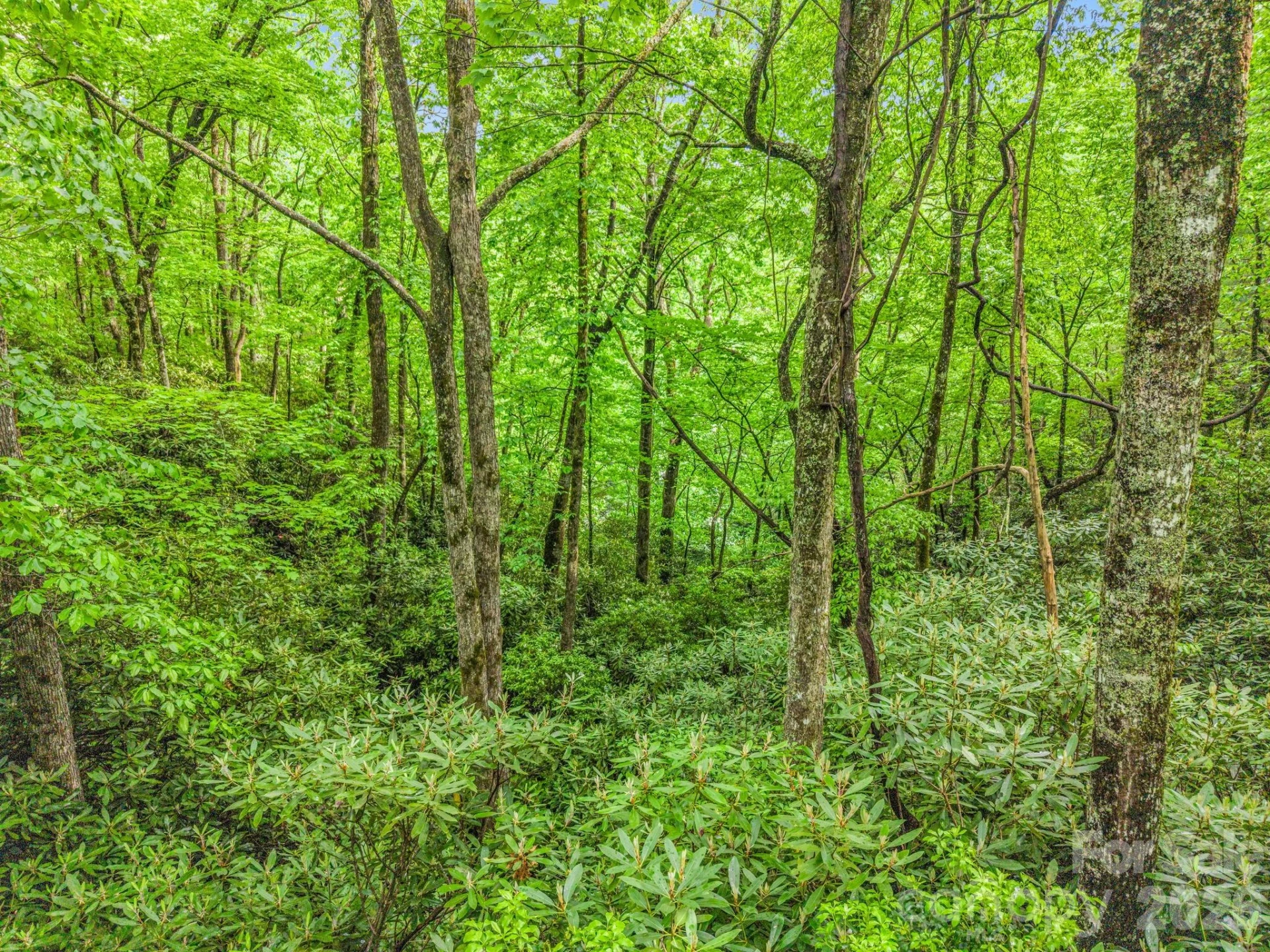 TBD Toxaway Trail #14/3 - Photo 36
