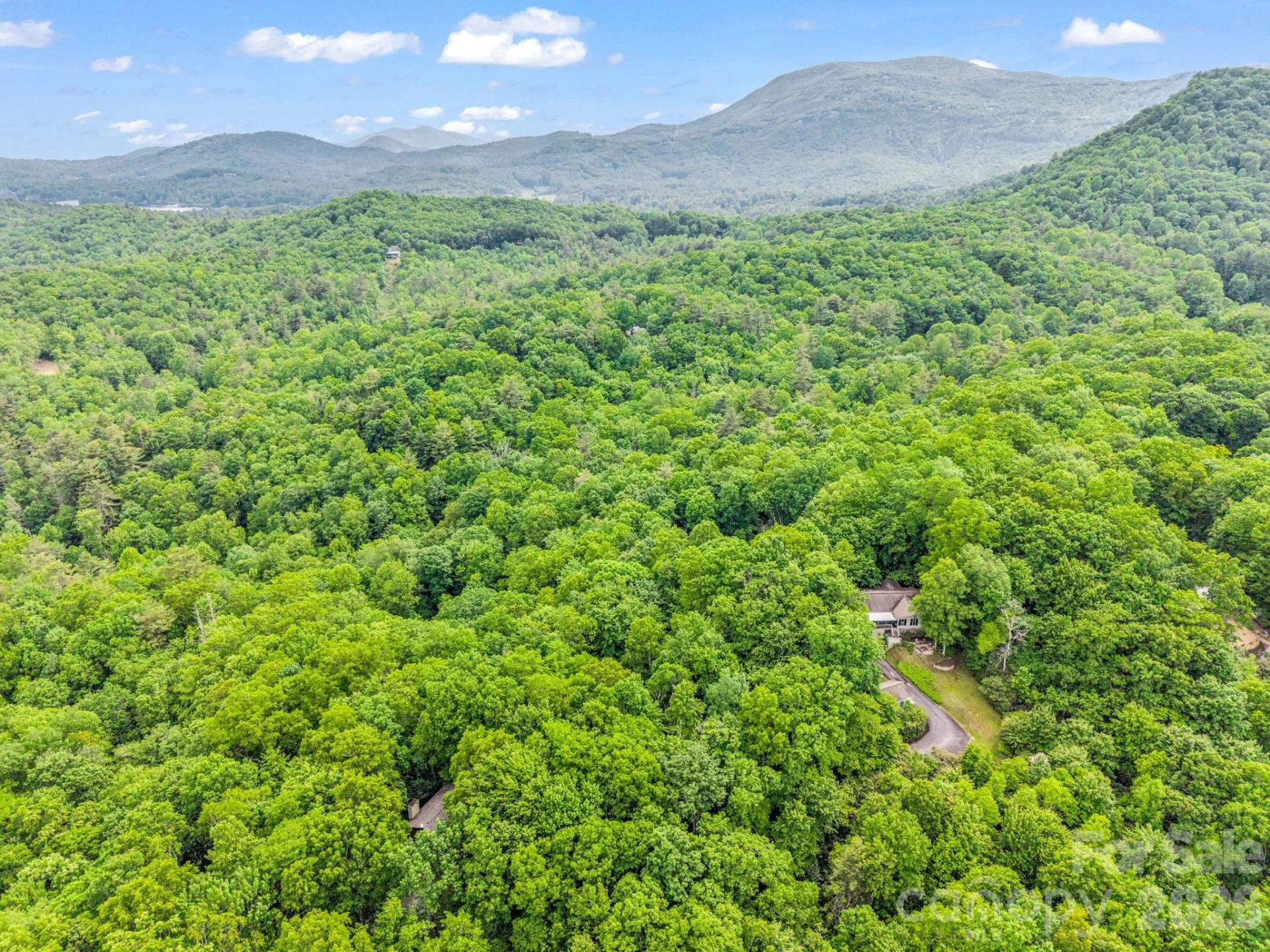 TBD Toxaway Trail #14/3 - Photo 38