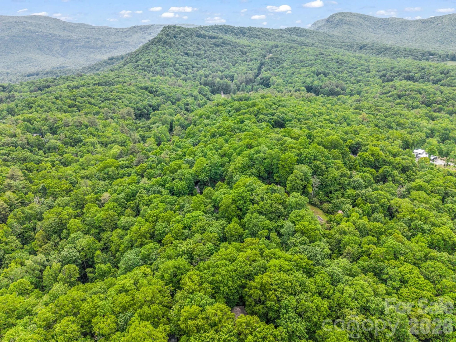 TBD Toxaway Trail #14/3 - Photo 39