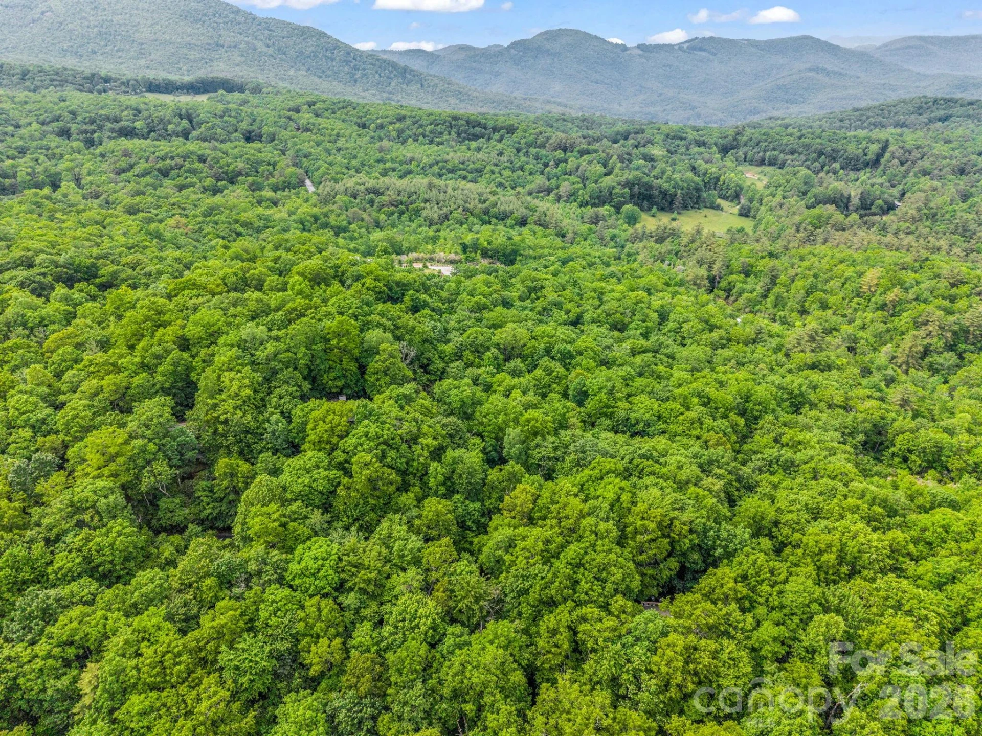 TBD Toxaway Trail #14/3 - Photo 40