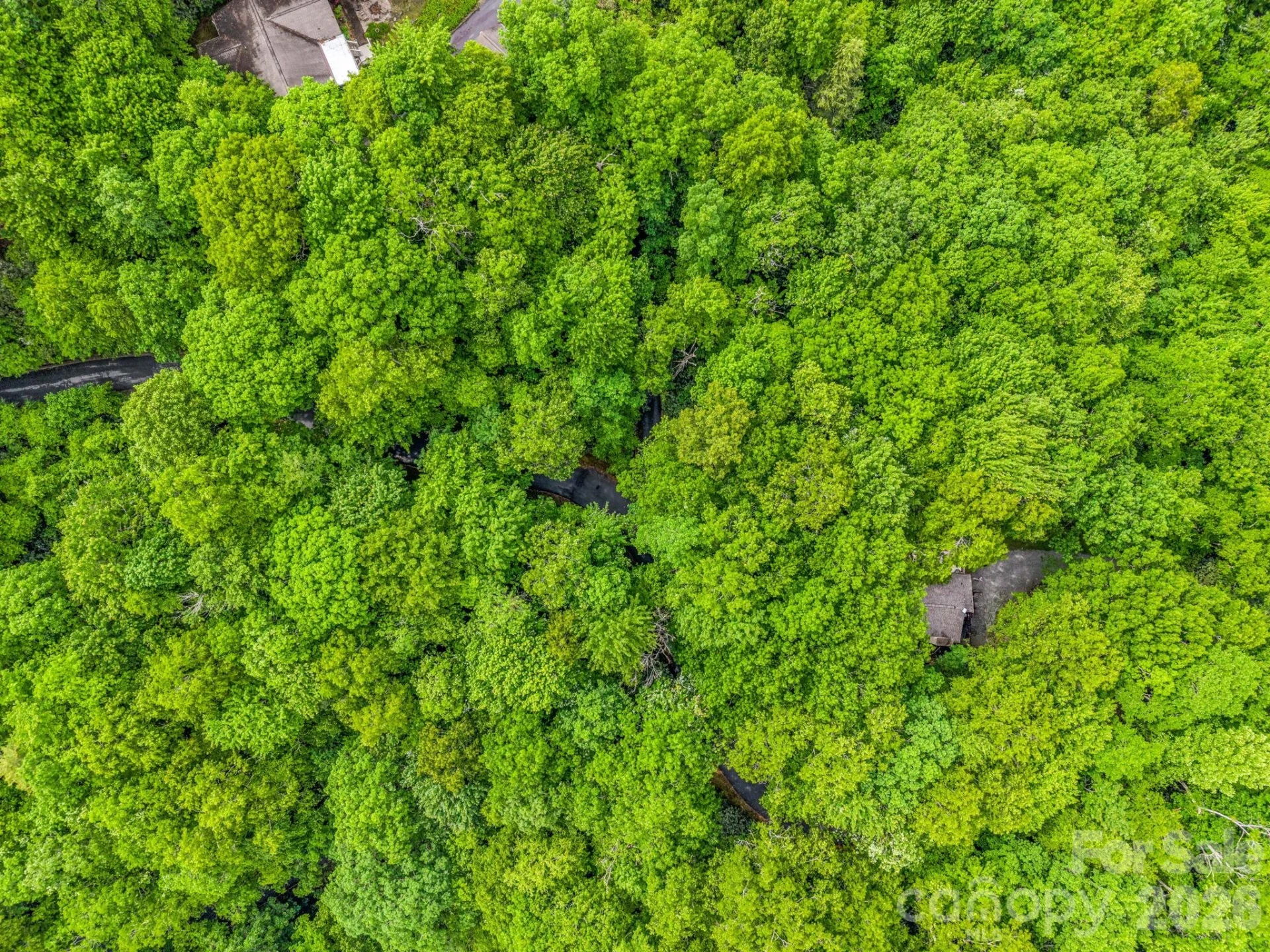 TBD Toxaway Trail #14/3 - Photo 41