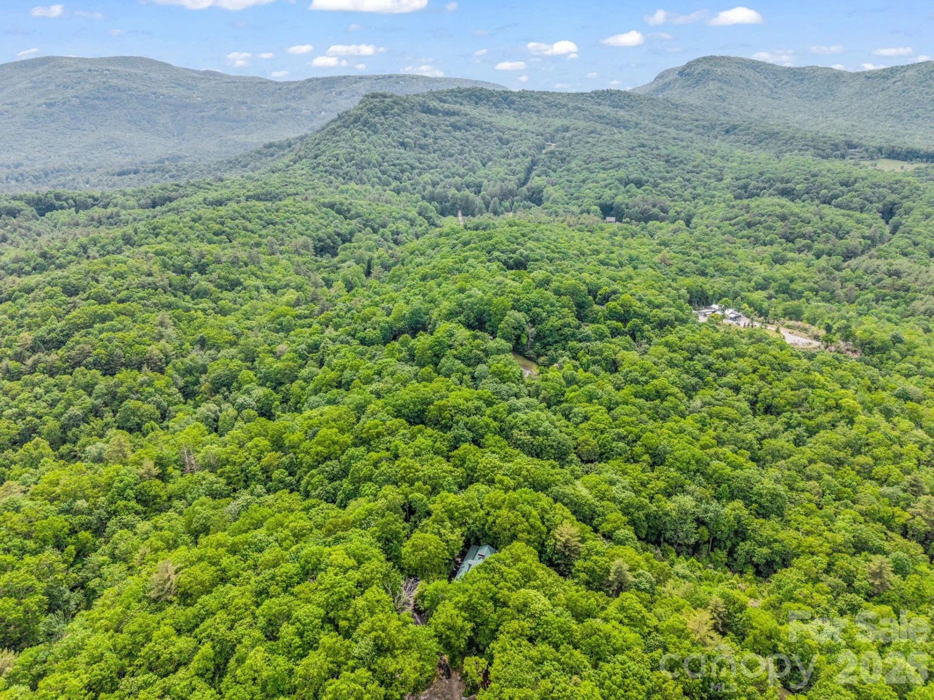 TBD Toxaway Trail #14/3 - Photo 44