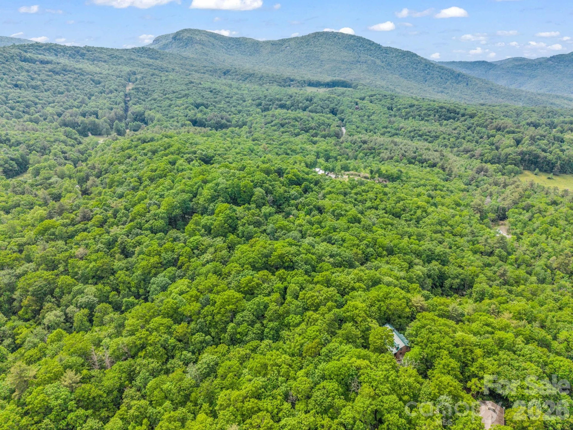 TBD Toxaway Trail #14/3 - Photo 46