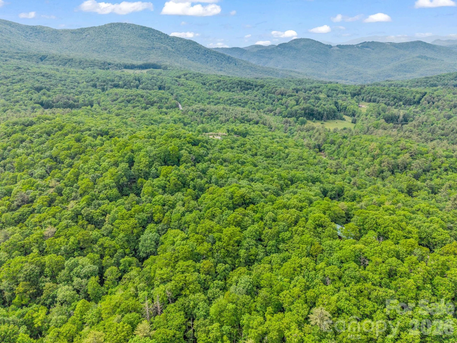 TBD Toxaway Trail #14/3 - Photo 47