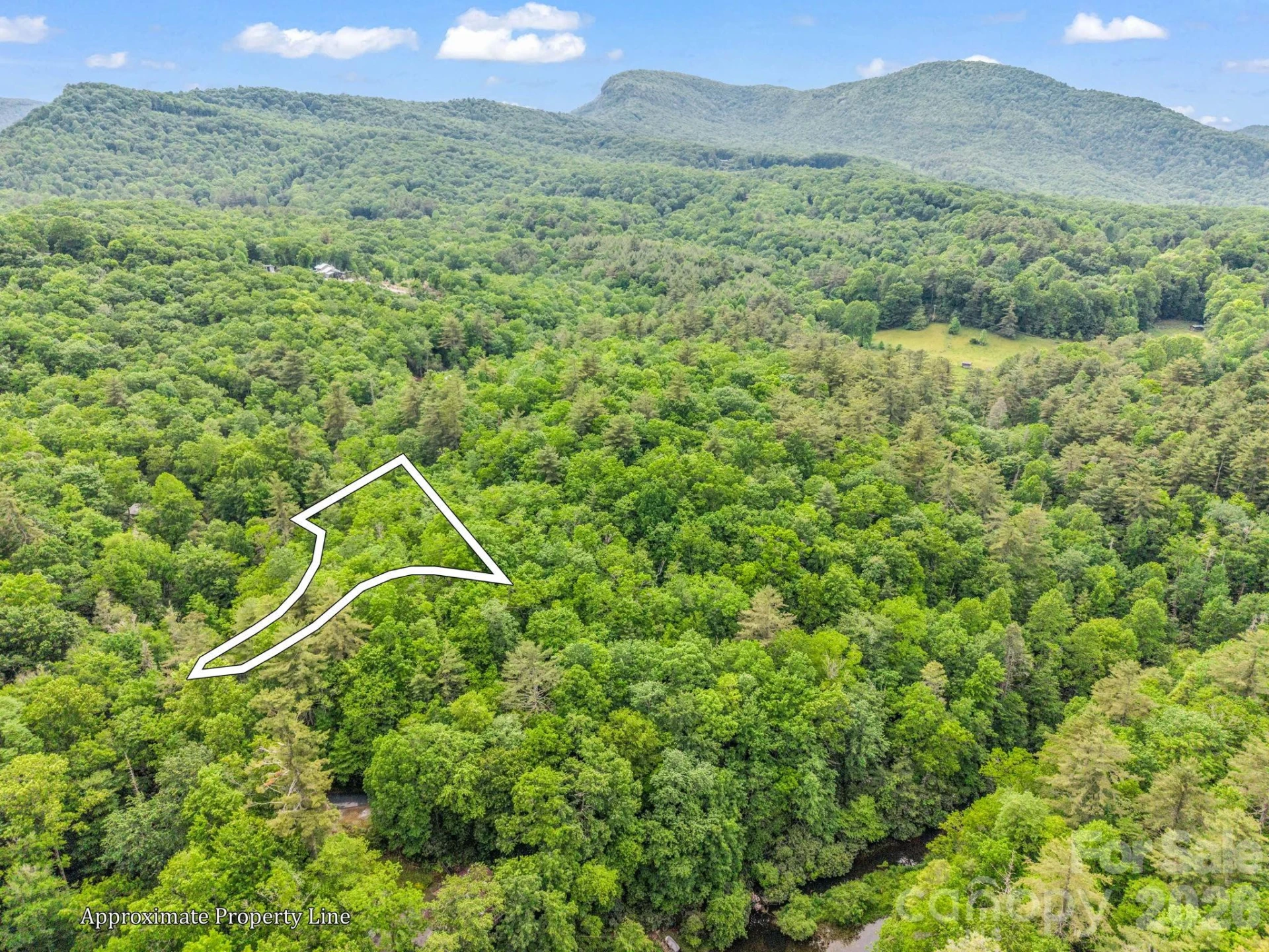 TBD Toxaway Trail #14/3 - Photo 8