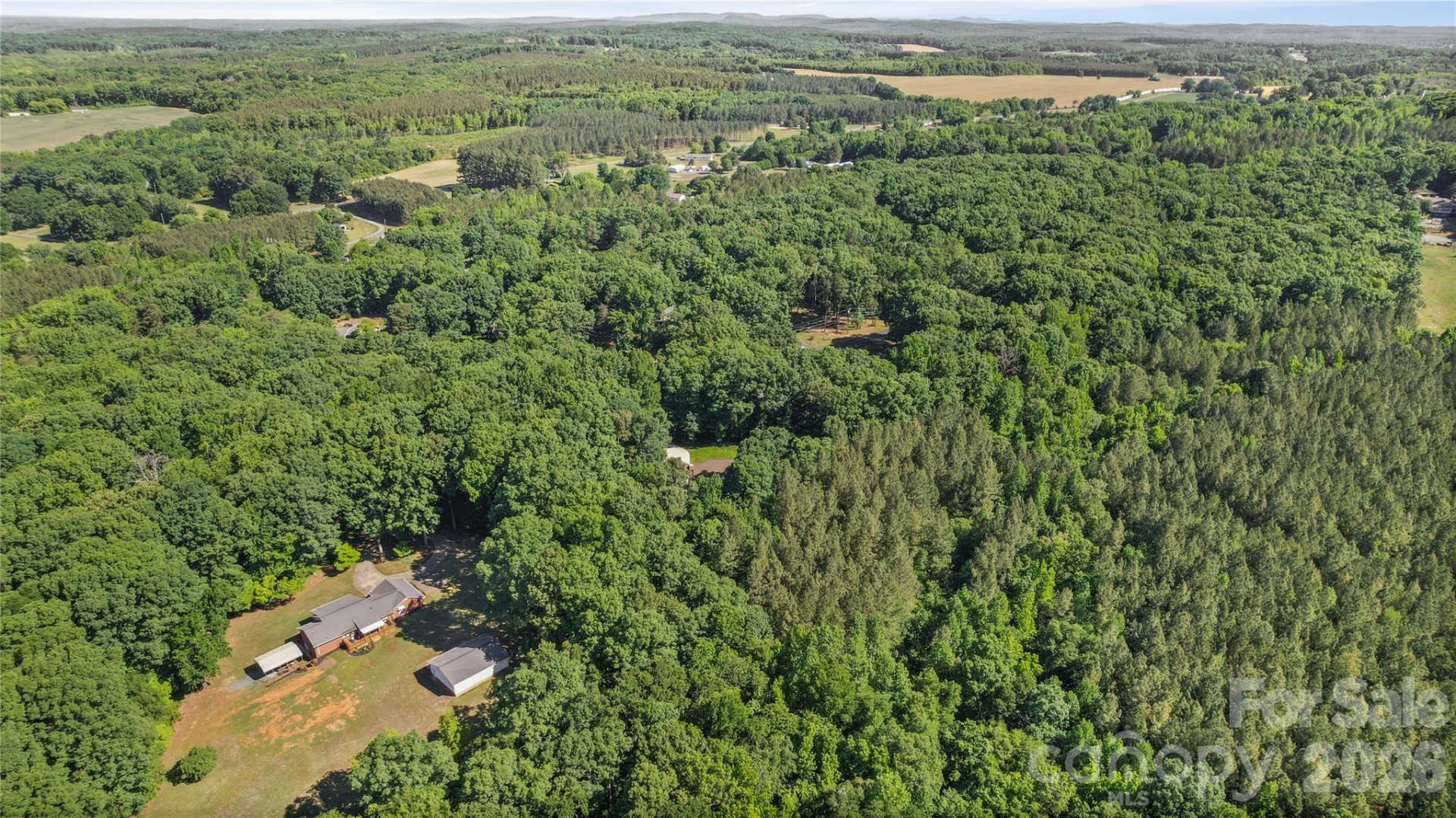 39328 Holly Ridge Road - Photo 35