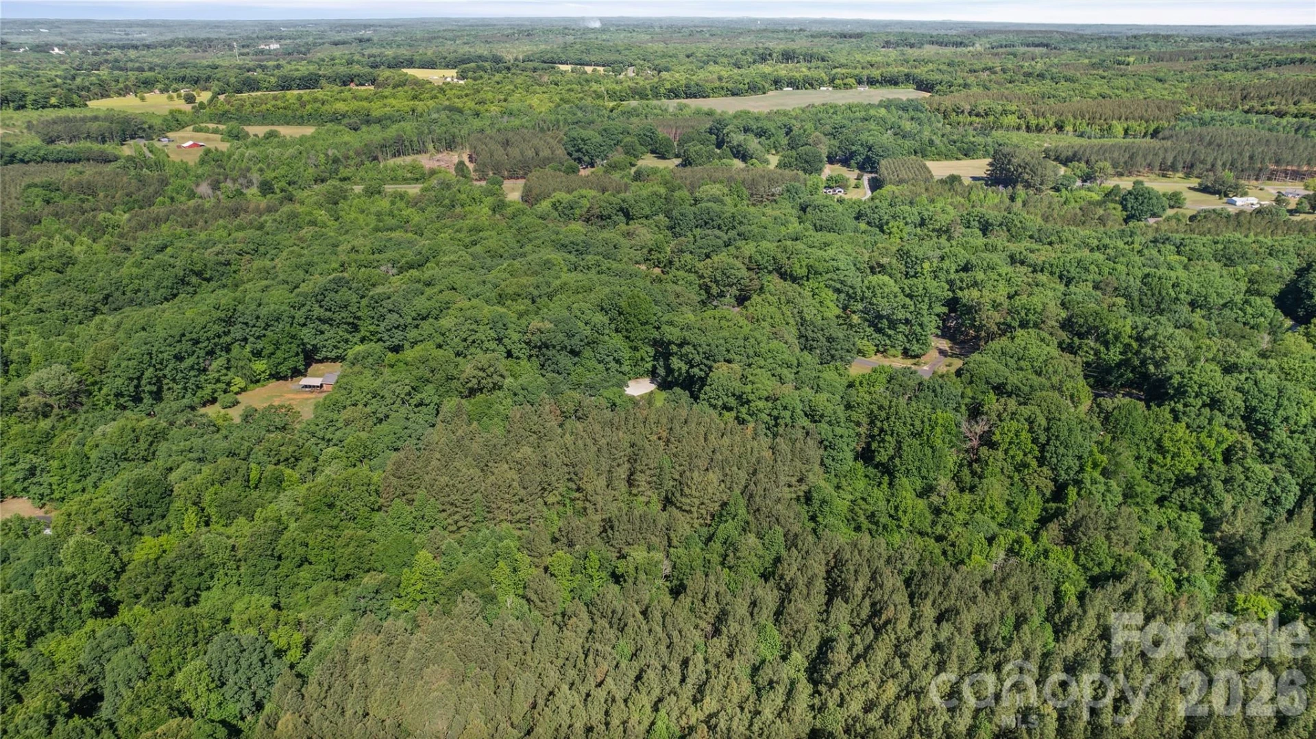 39328 Holly Ridge Road - Photo 36