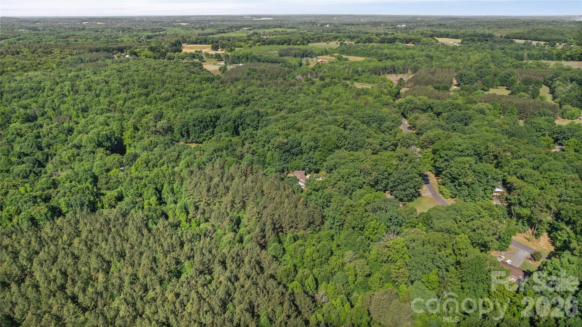 39328 Holly Ridge Road - Photo 37