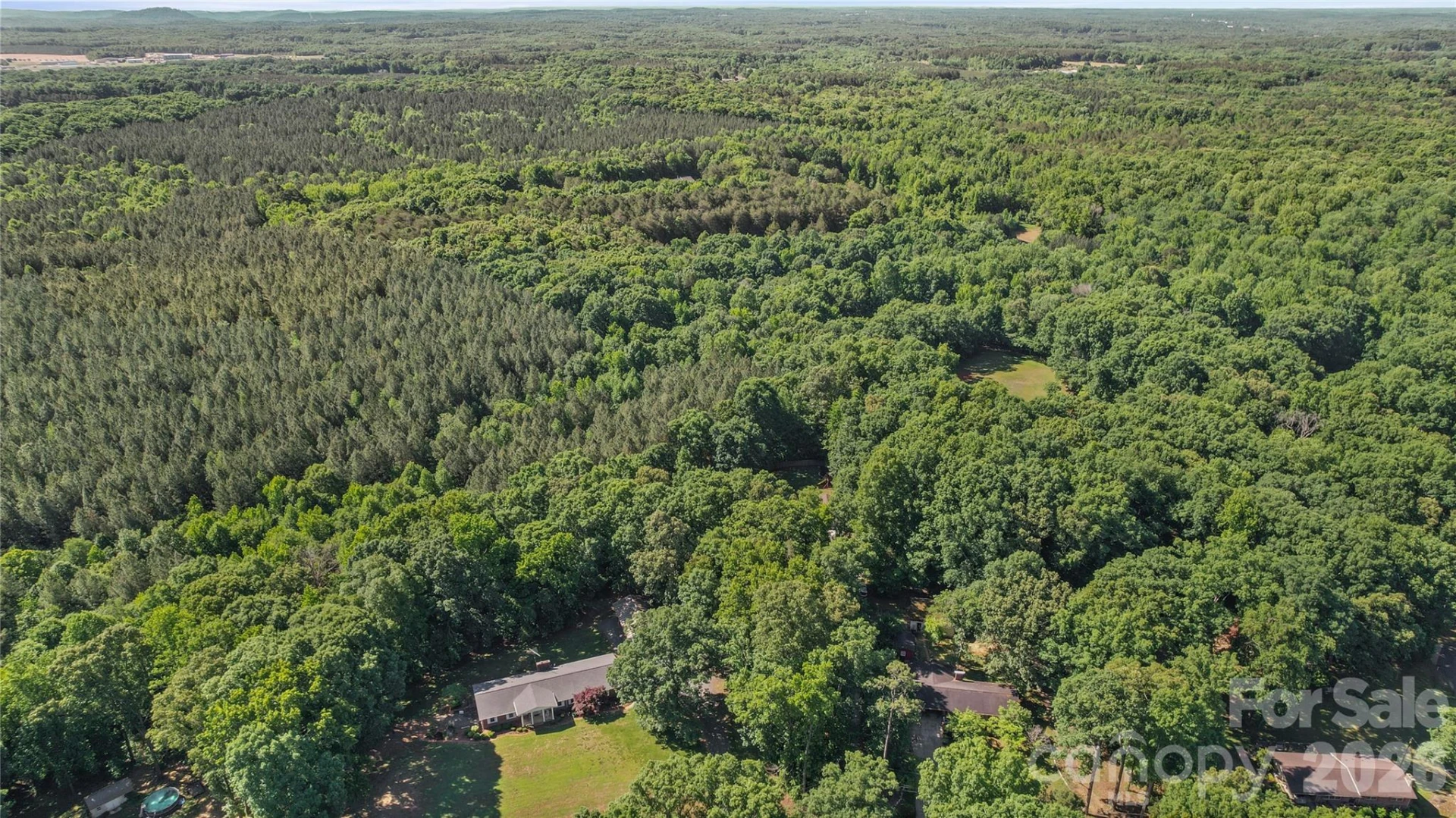 39328 Holly Ridge Road - Photo 38